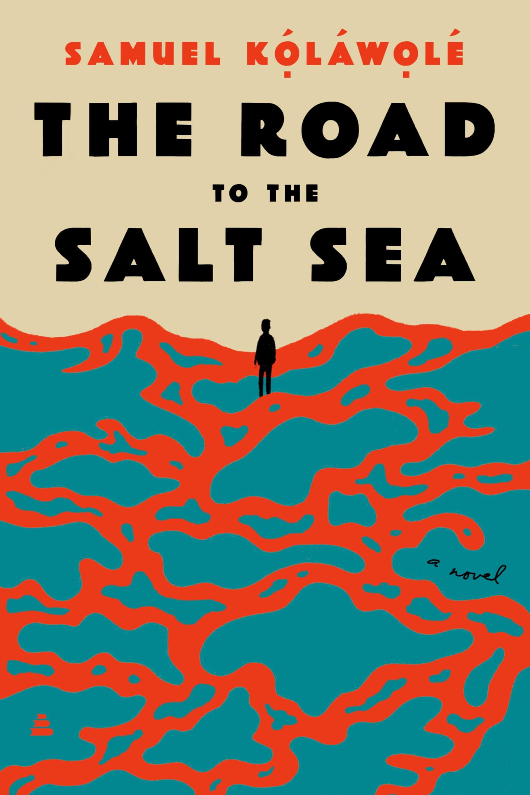 The Road to the Salt Sea: A Novel used book depot
