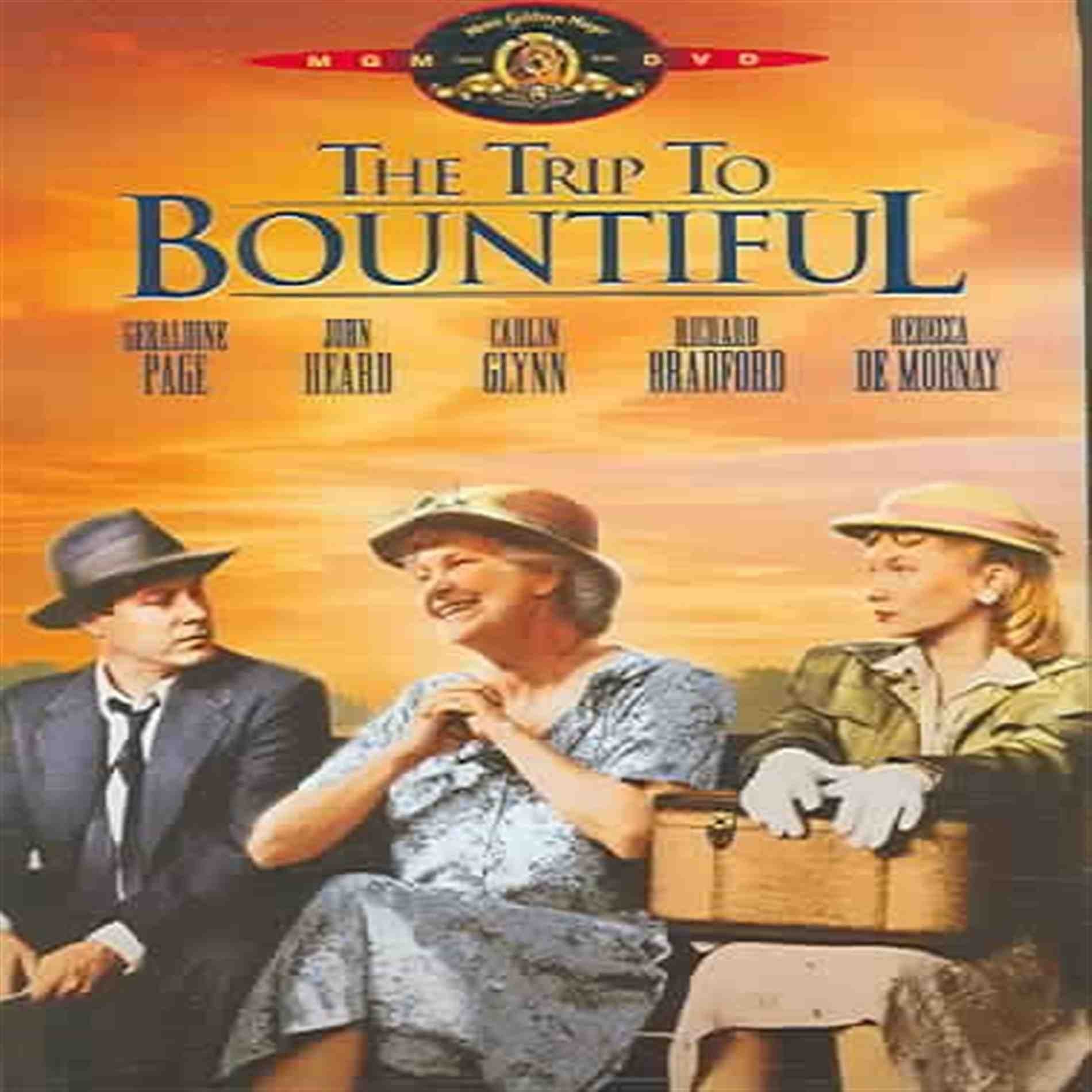 The Trip to Bountiful [DVD] used book depot