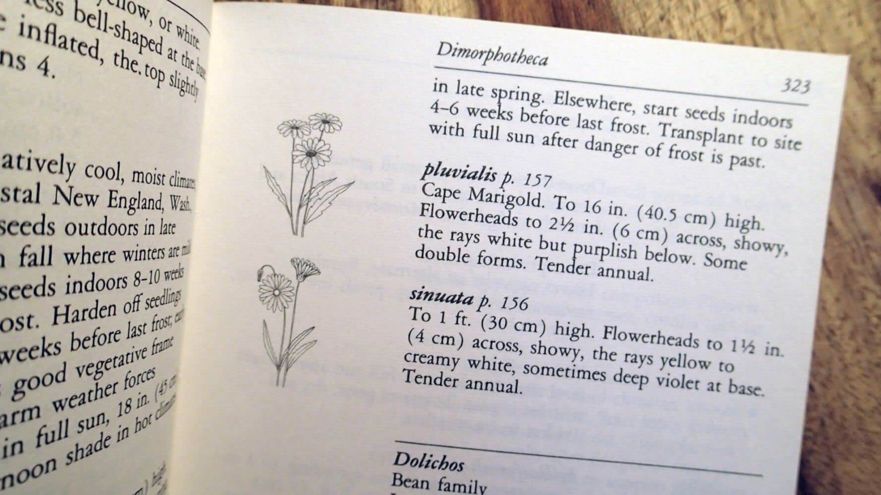 Taylor's Guide to Annuals (Taylor's Guide to Gardening) used book depot