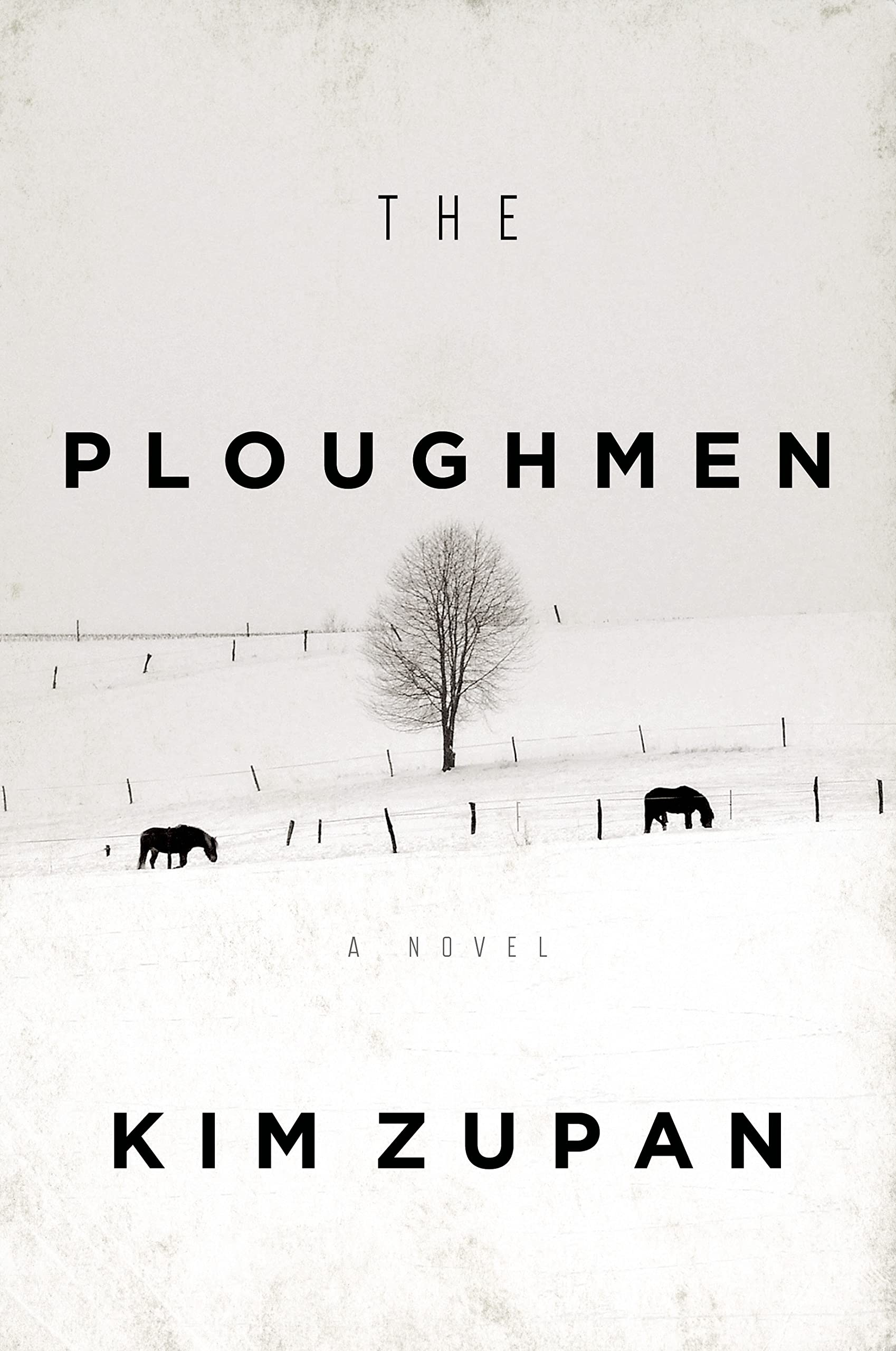 The Ploughmen: A Novel used book depot