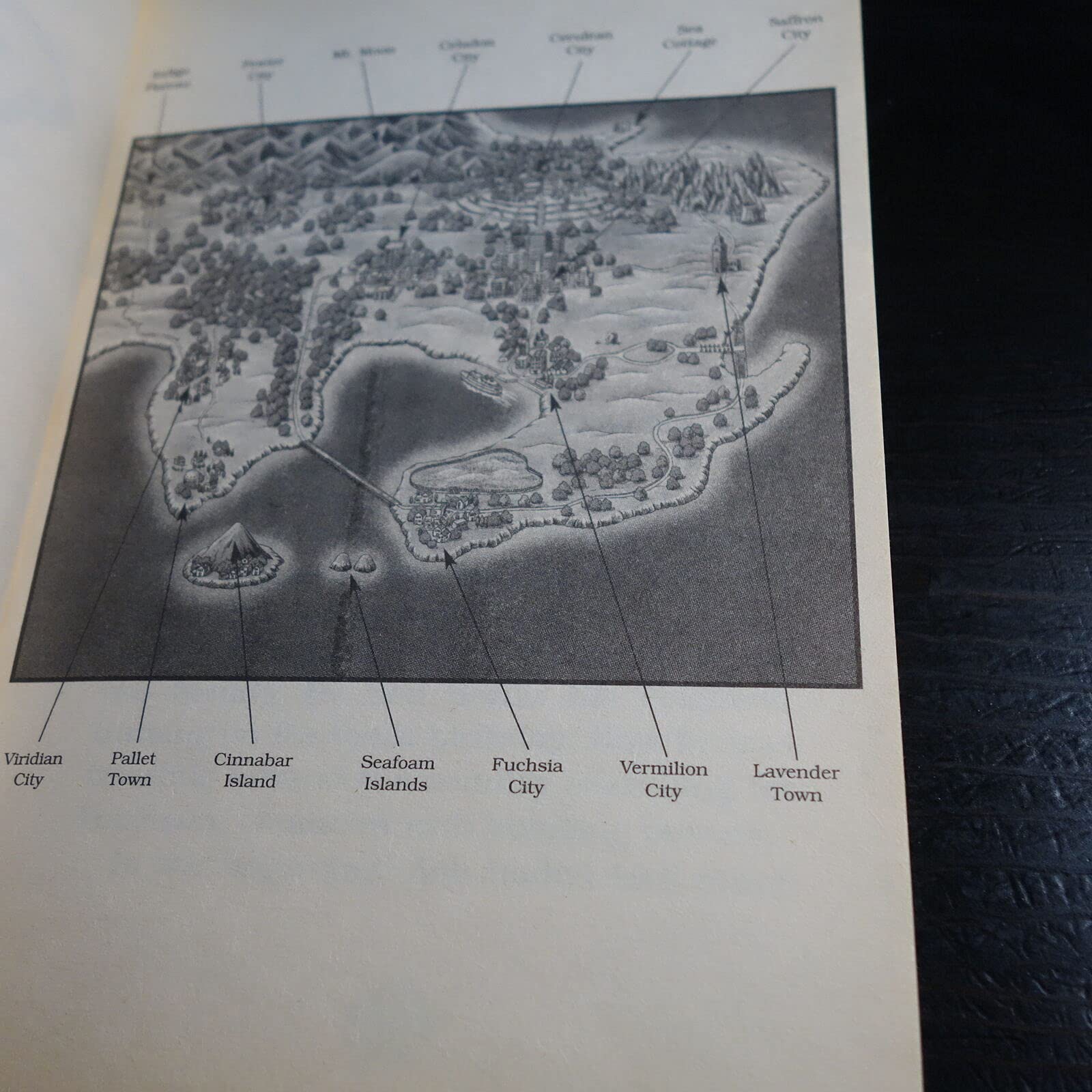 Island of the Giant Pokemon (Pokemon, No. 2) used book depot