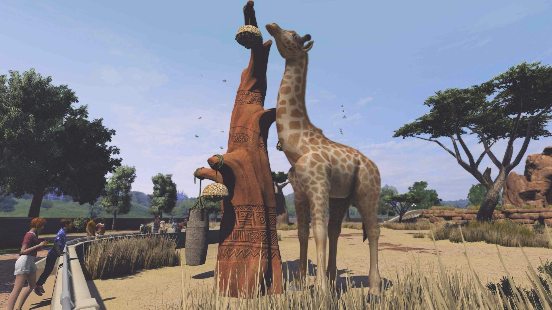 Zoo Tycoon: Ultimate Animal Collection - PC used book depot