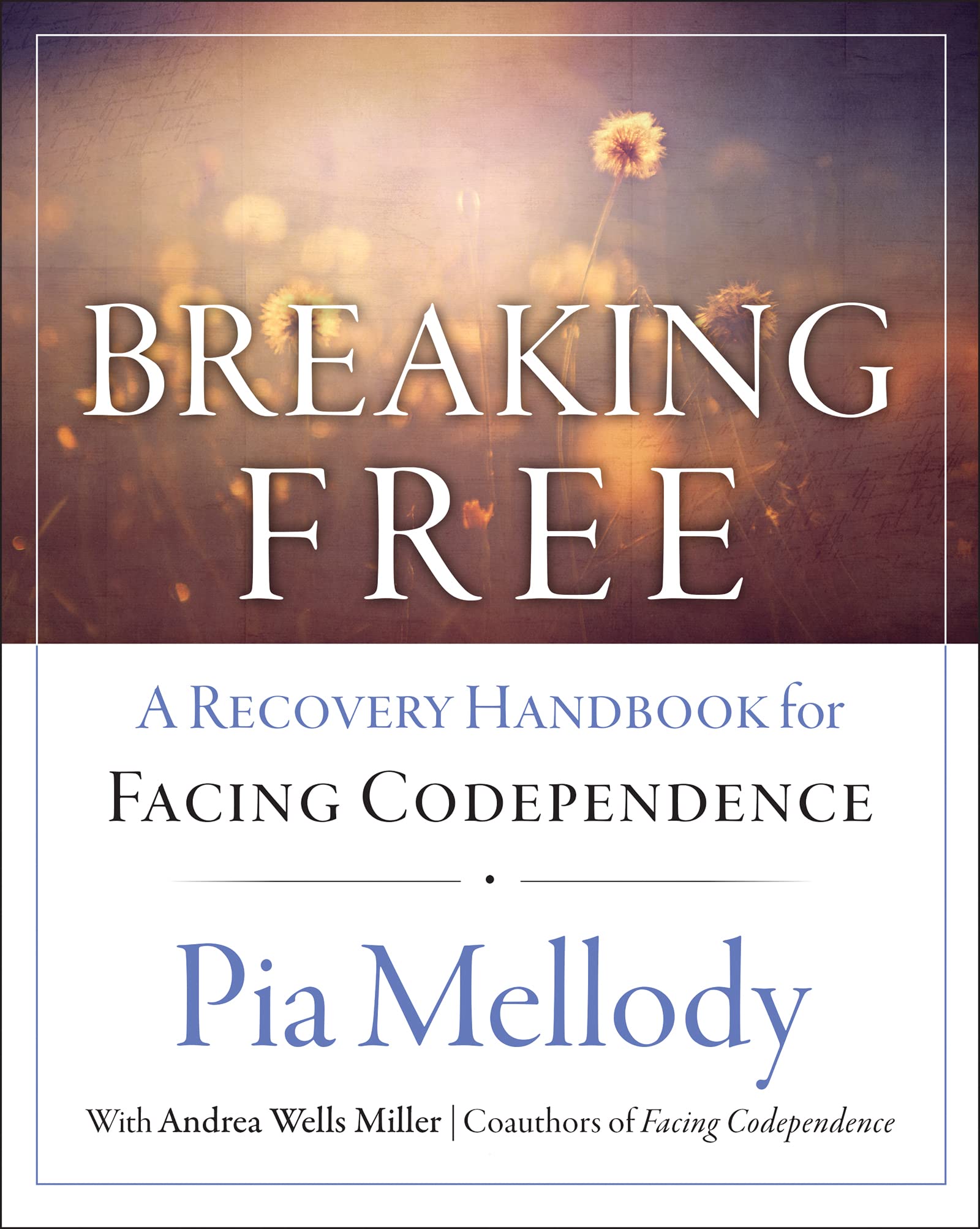 Breaking Free: A Recovery Workbook for Facing Codependence used book depot