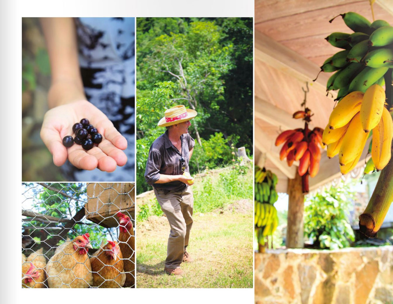 Taste: Recipes from Acclaimed BVI Restaurants and Chefs used book depot