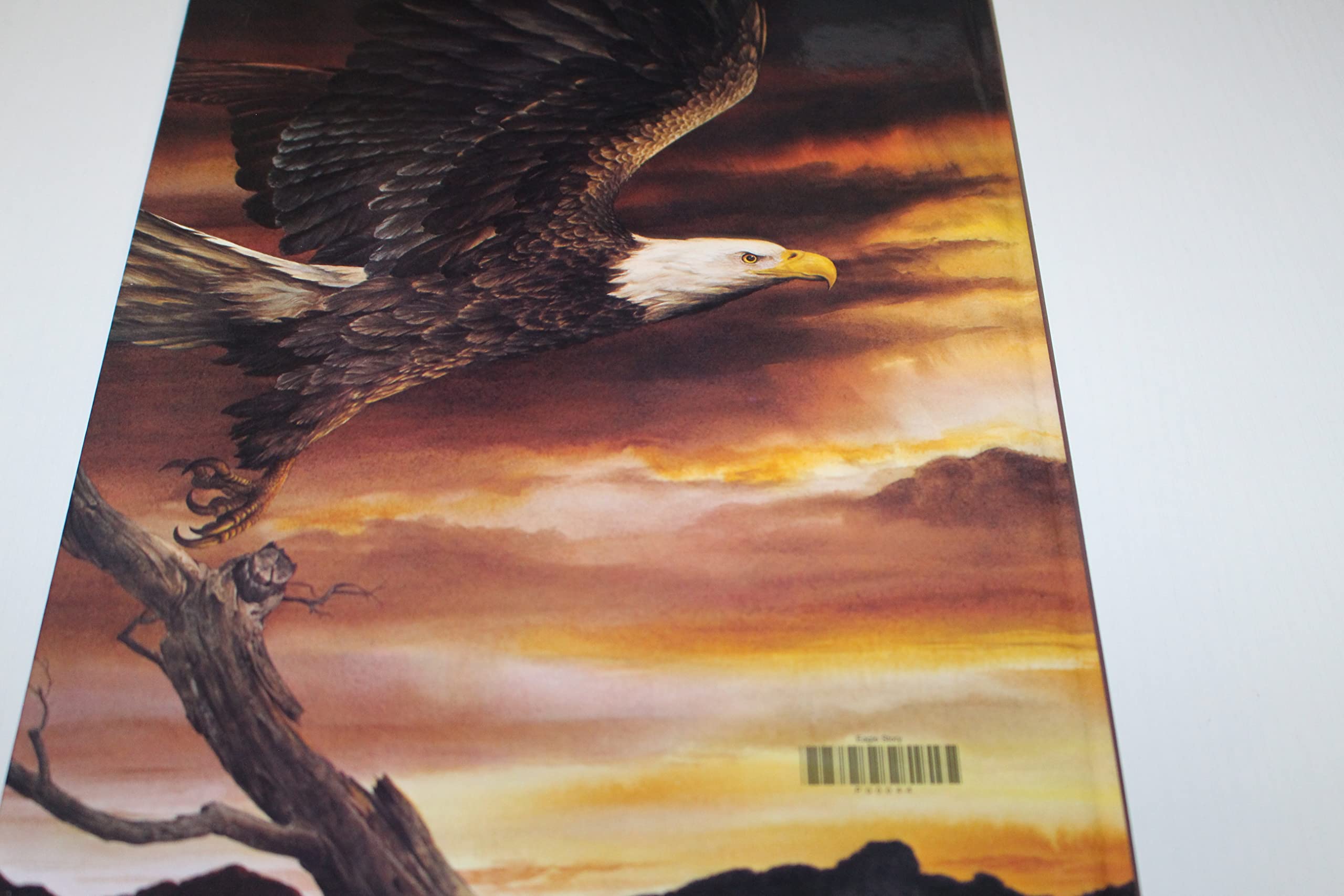 The Eagle Story used book depot