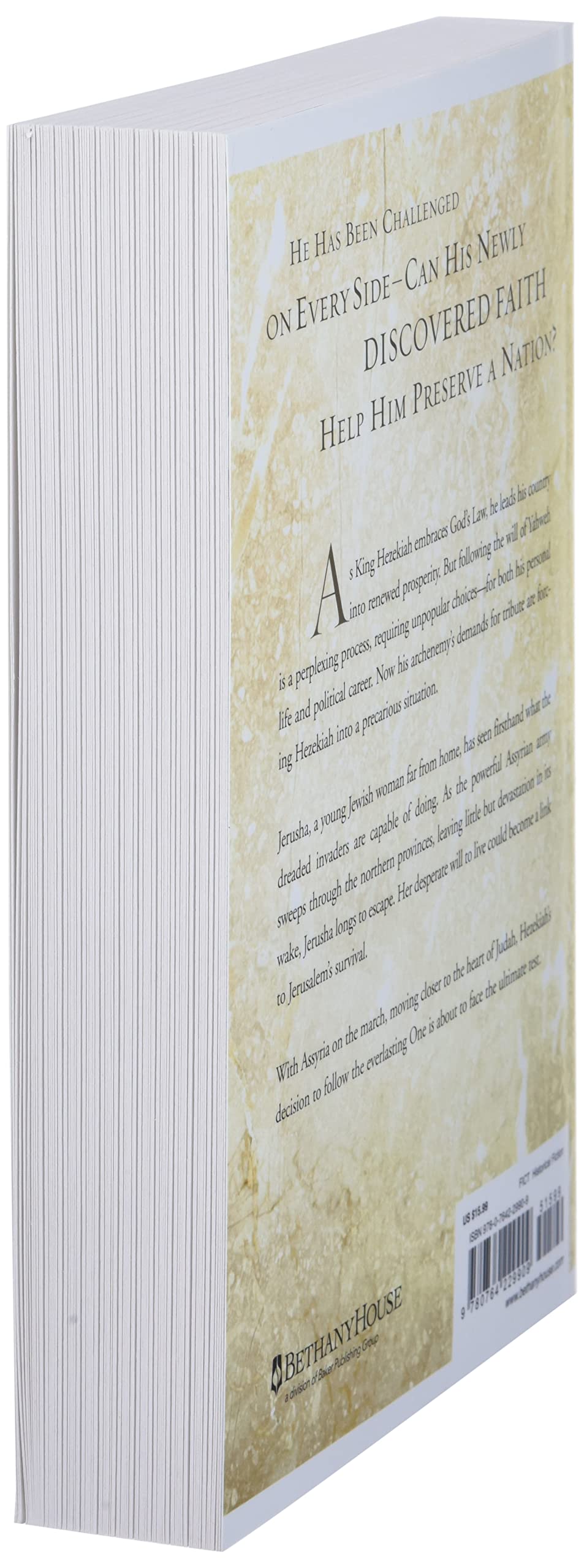 Song of Redemption (Chronicles of the Kings #2) used book depot