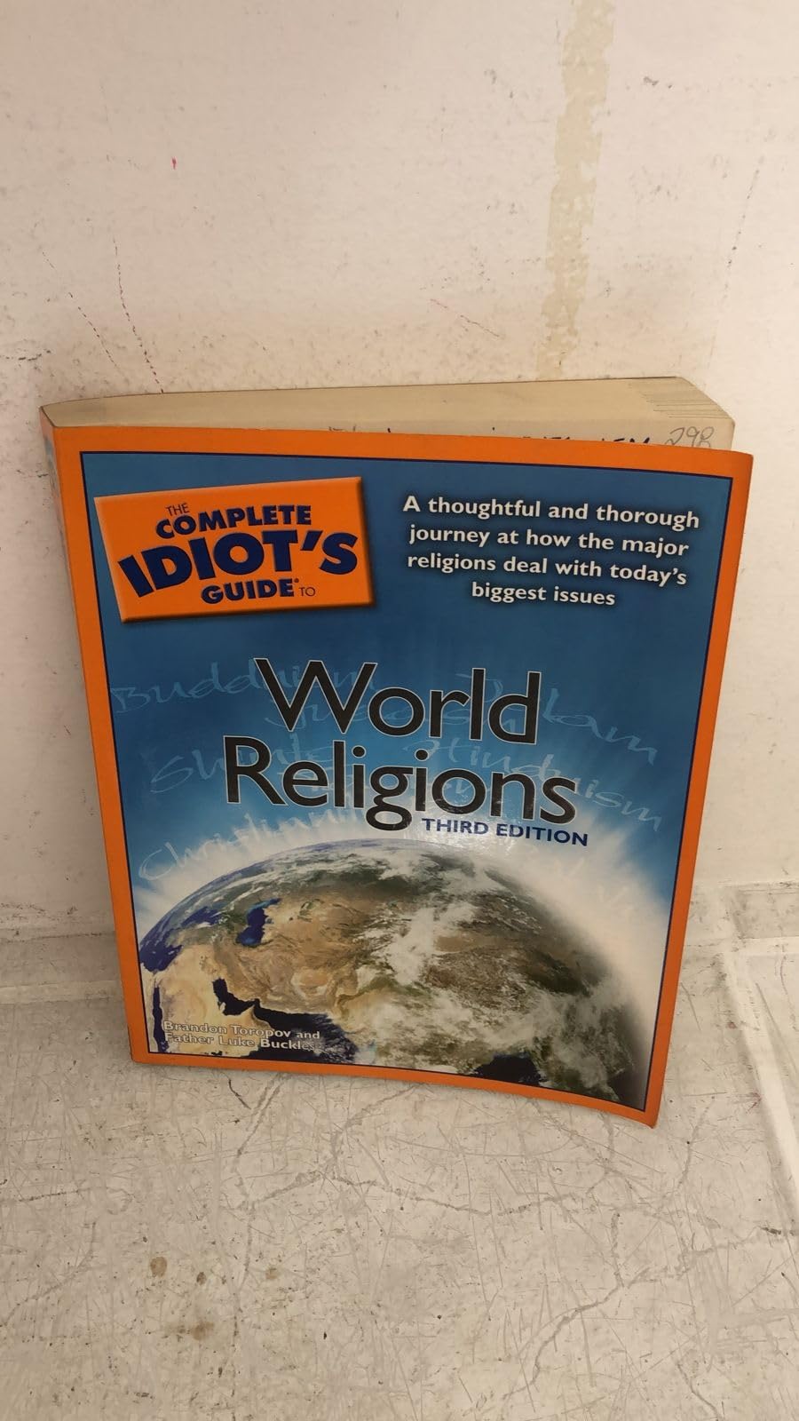 The Complete Idiot's Guide to World Religions, 3rd Edition used book depot