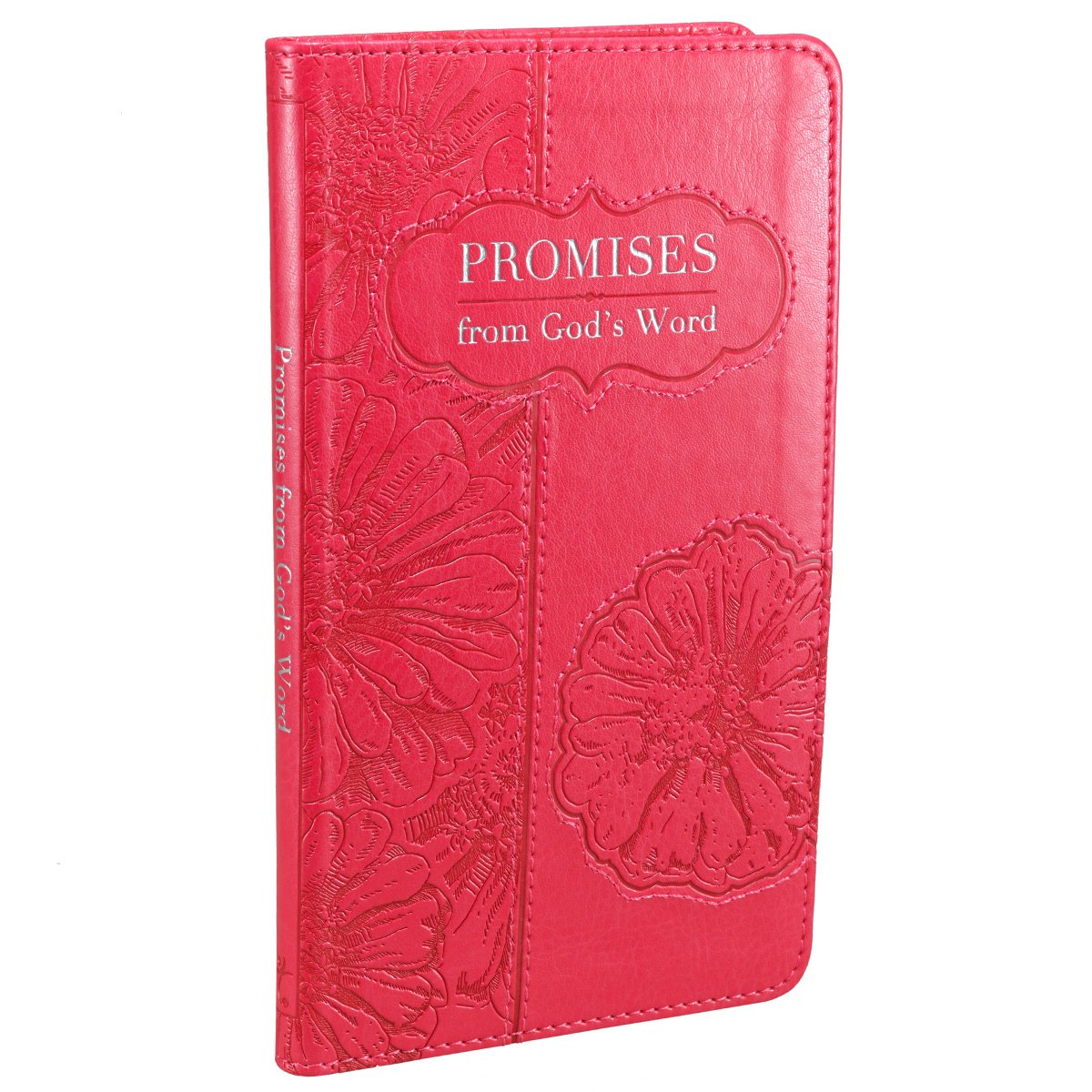 Promises from God's Word: With God All Things Are Possible used book depot
