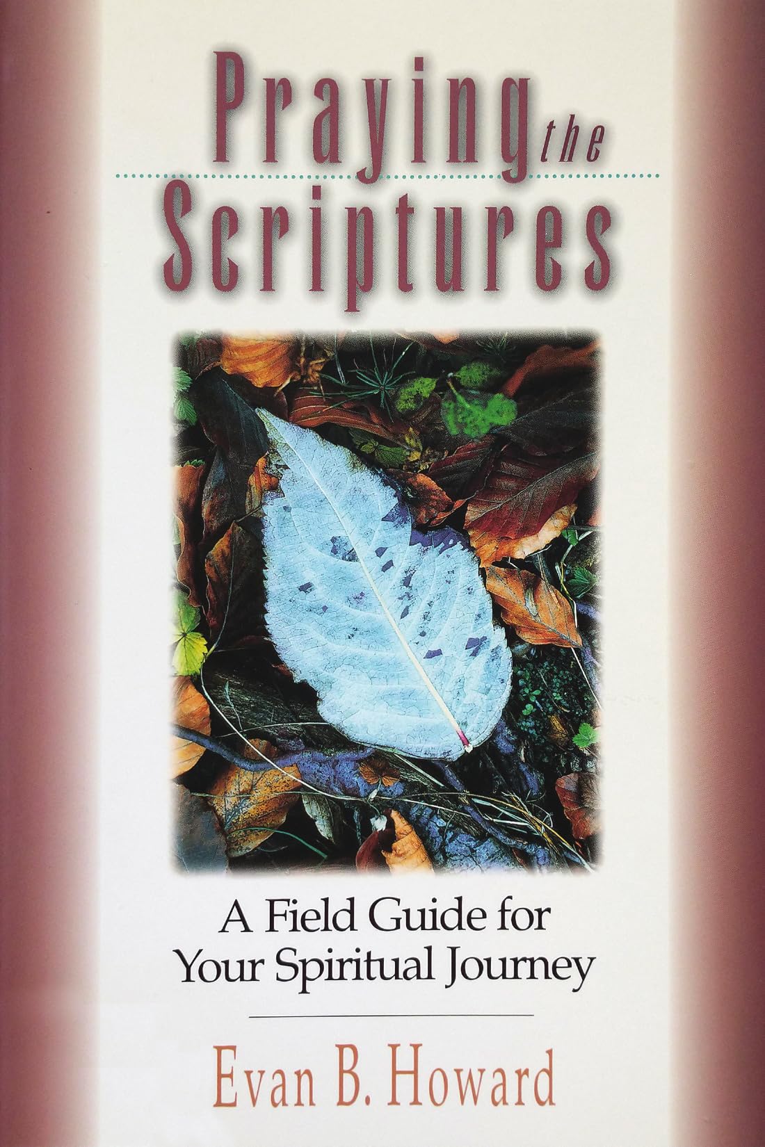 Praying the Scriptures: A Field Guide for Your Spiritual Journey used book depot