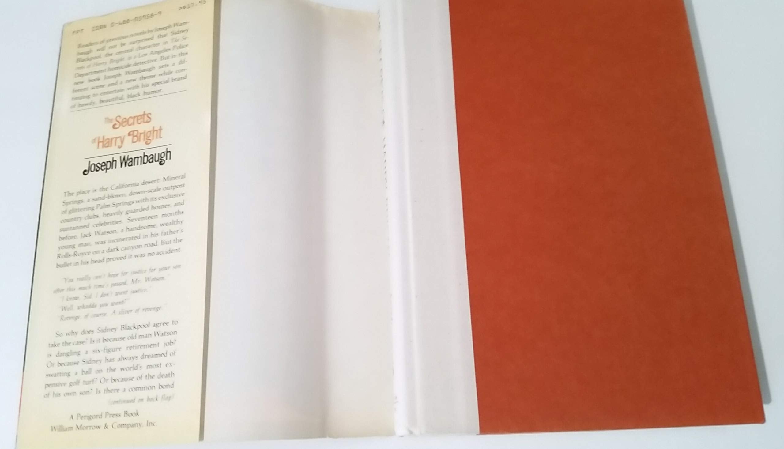 The Secrets of Harry Bright