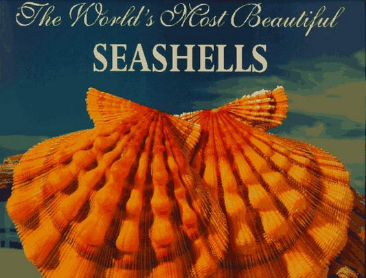 The Worlds Most Beautiful Seashells Worlds Most Series Hill, Leonard C and Carmichael, James H