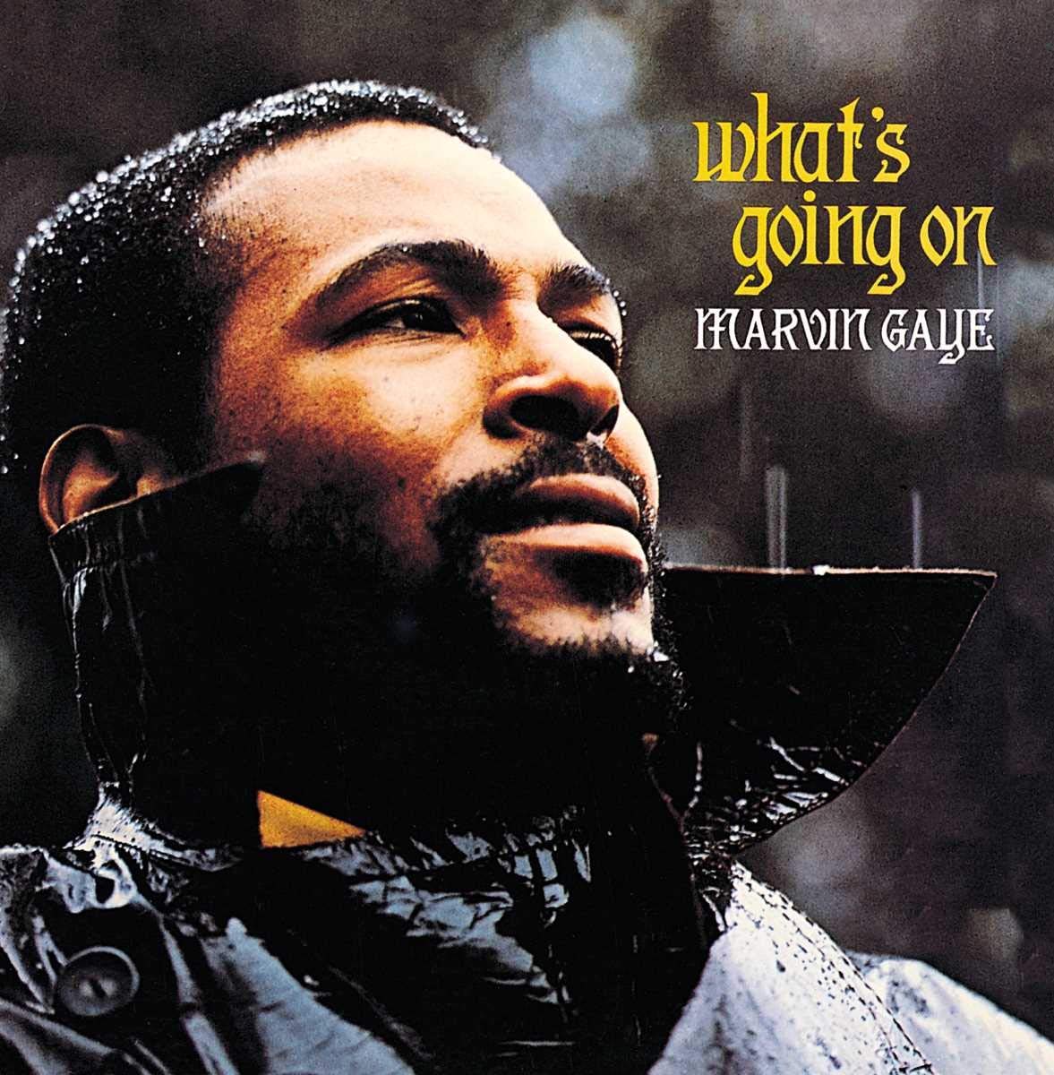 What's Going On used book depot