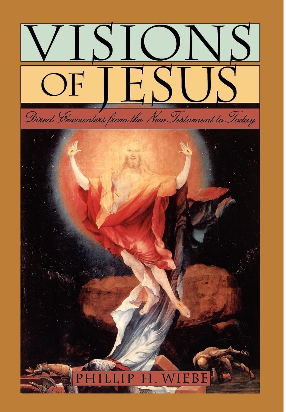 Visions of Jesus: Direct Encounters from the New Testament to Today used book depot