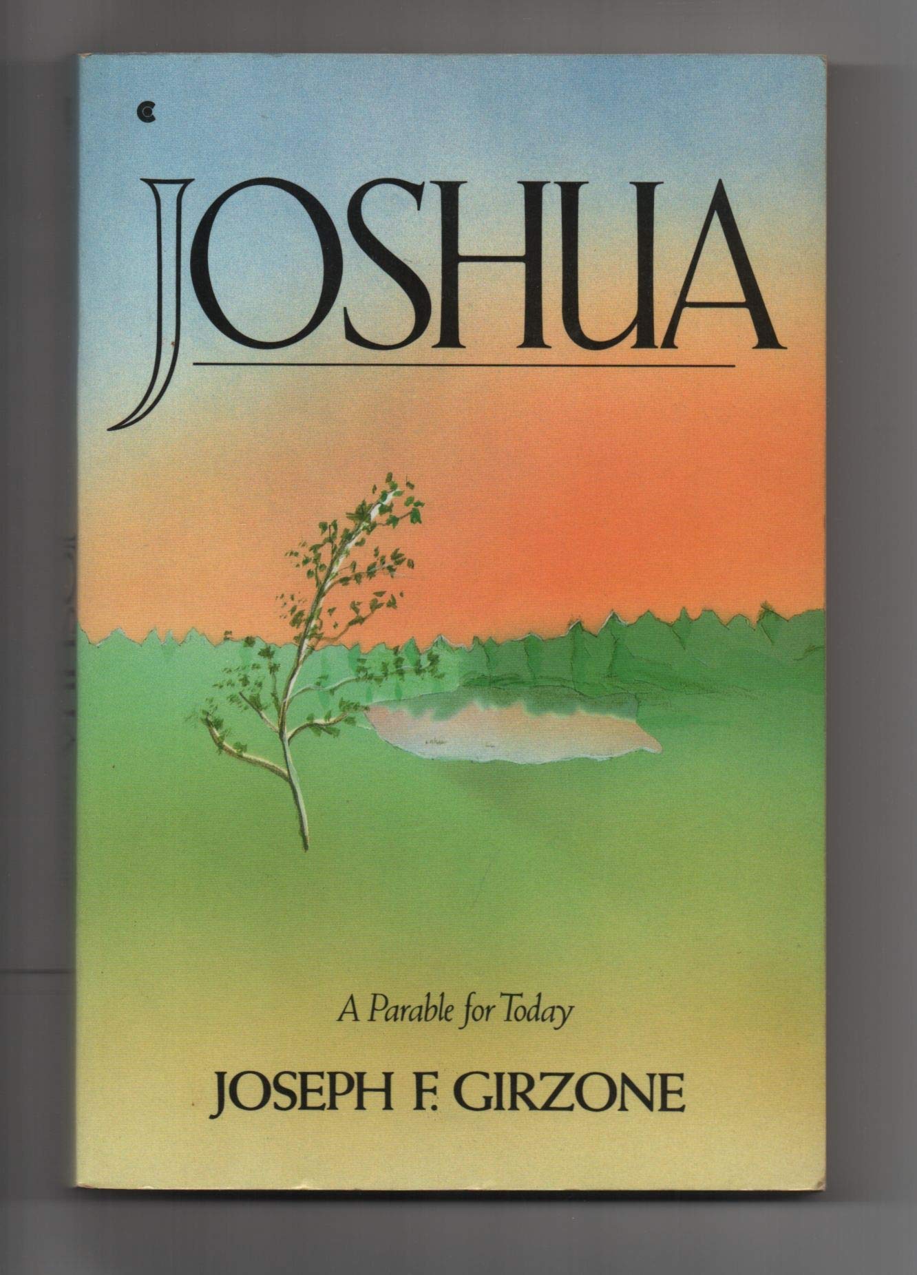 Joshua: A Parable for Today used book depot