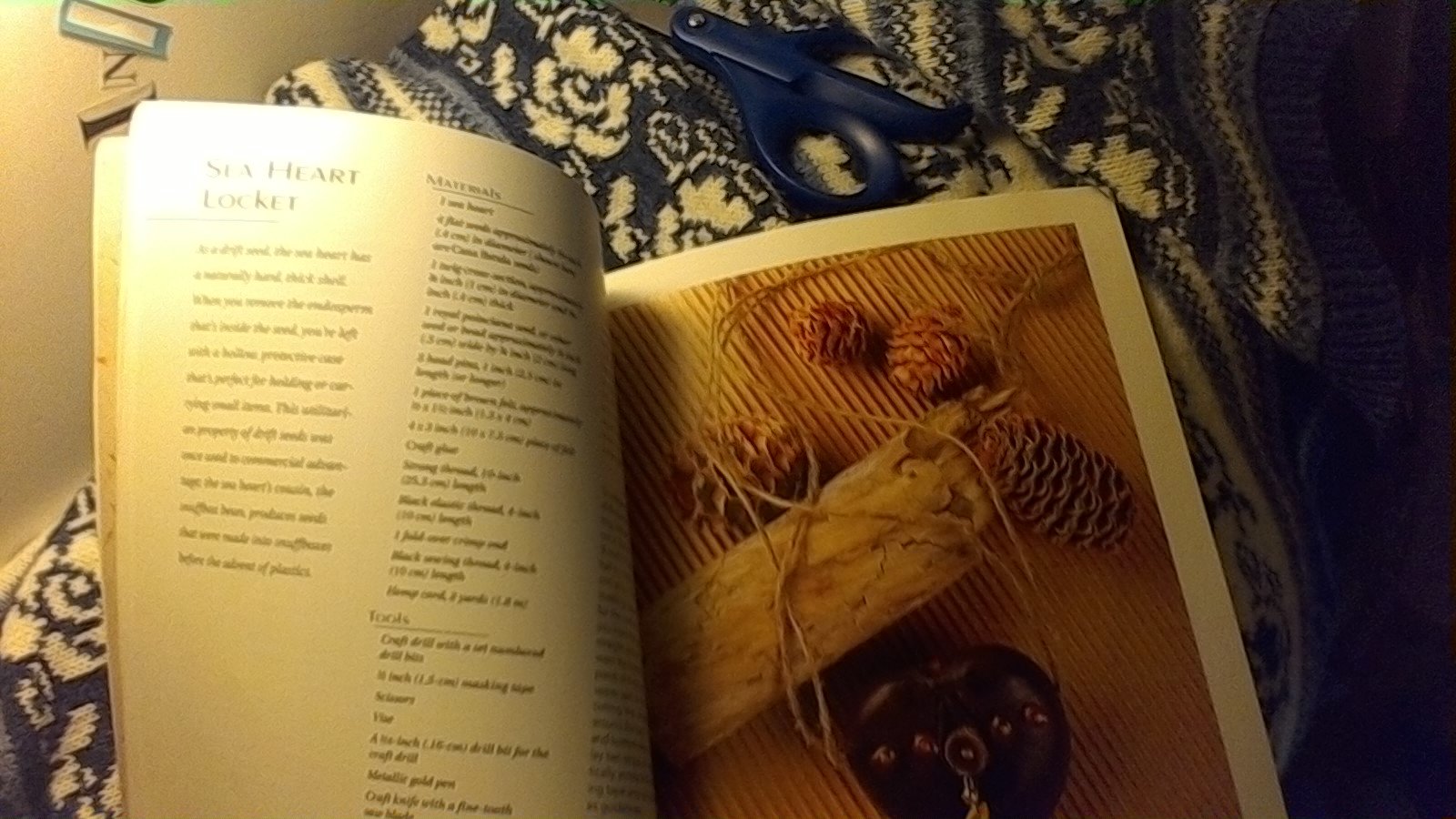 Jewelry From Nature: 45 Great Projects Using Sticks & Stones, Seeds & Bones used book depot