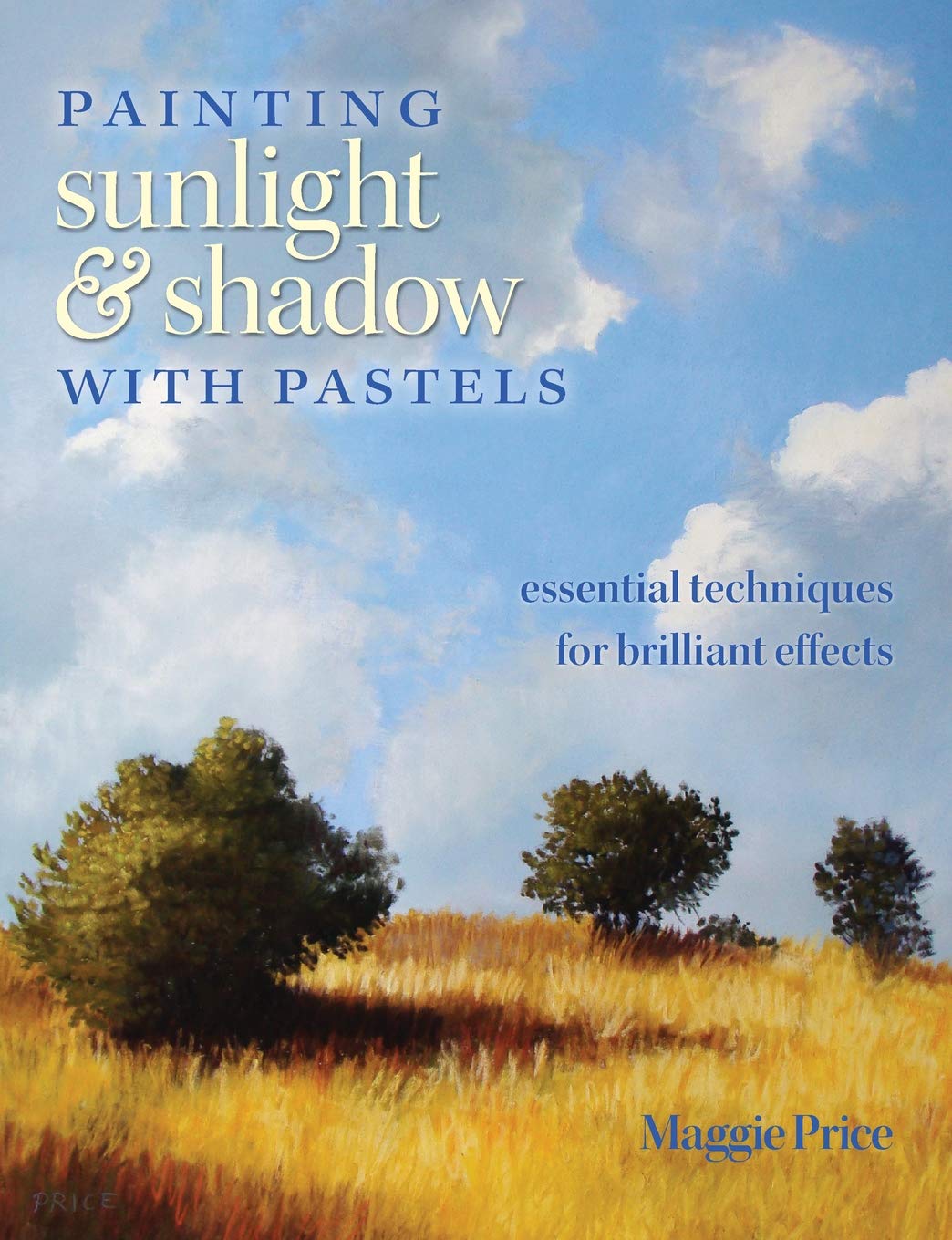 Painting Sunlight and Shadow with Pastels: Essential Techniques for Brilliant Effects used book depot