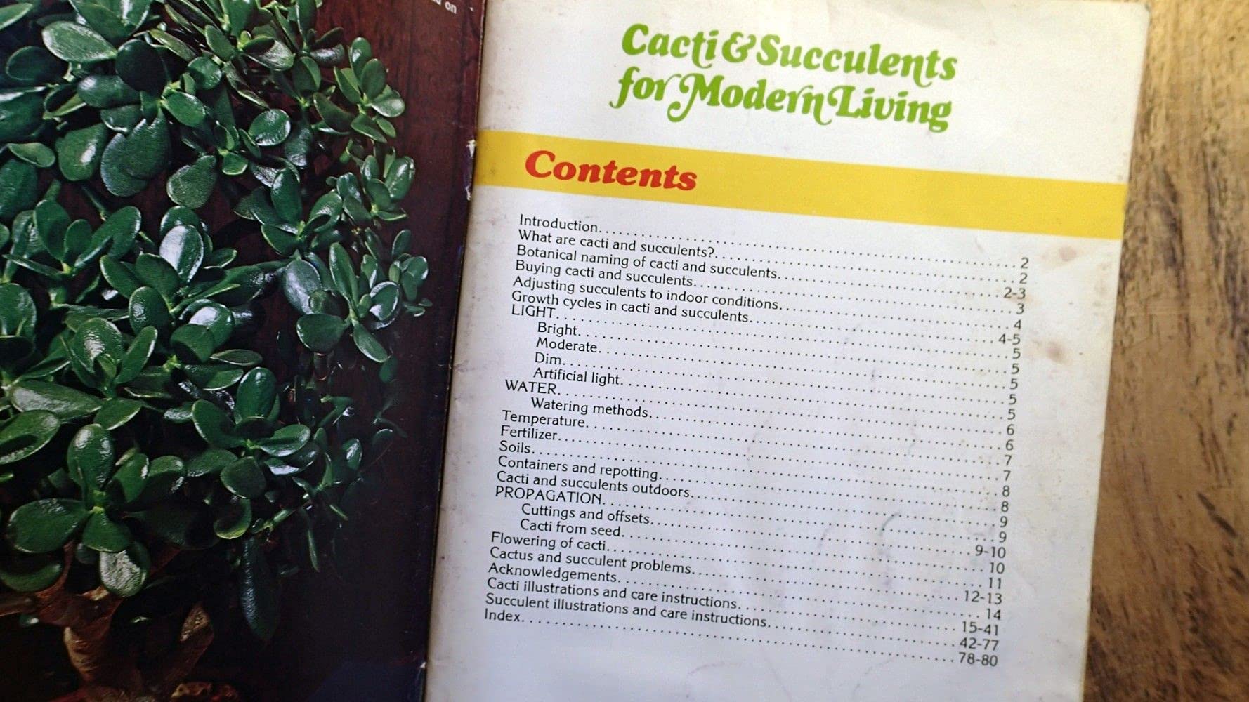 Cacti & Succulents for Modern Living used book depot