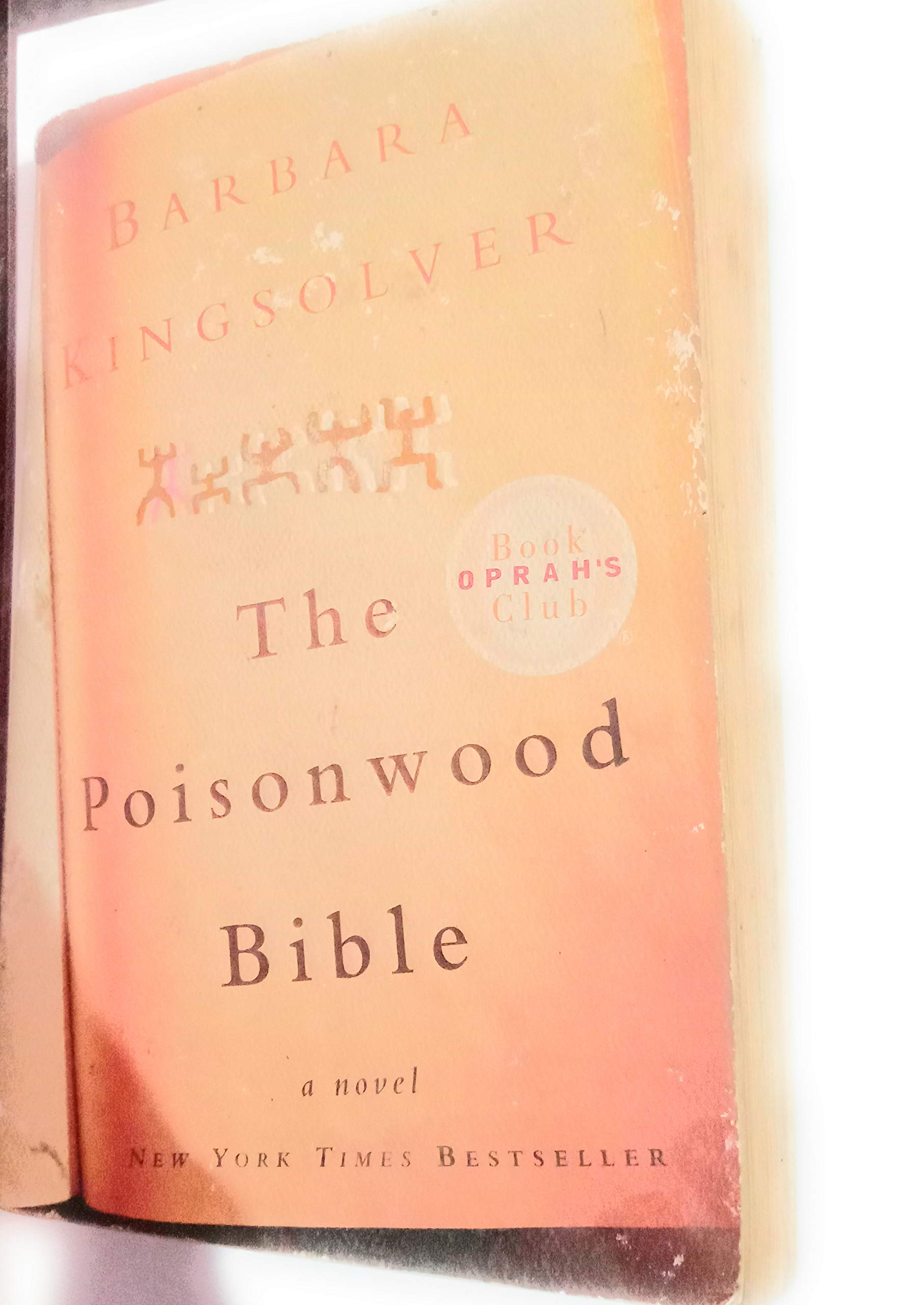 The Poisonwood Bible used book depot