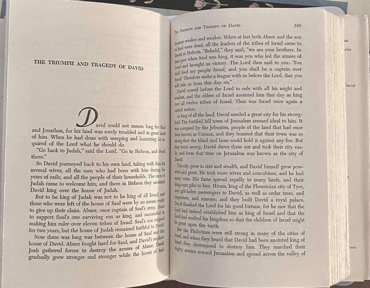 The Story Bible.[72 major "story-sections" of the Old & New Testaments of the Bible]. used book depot