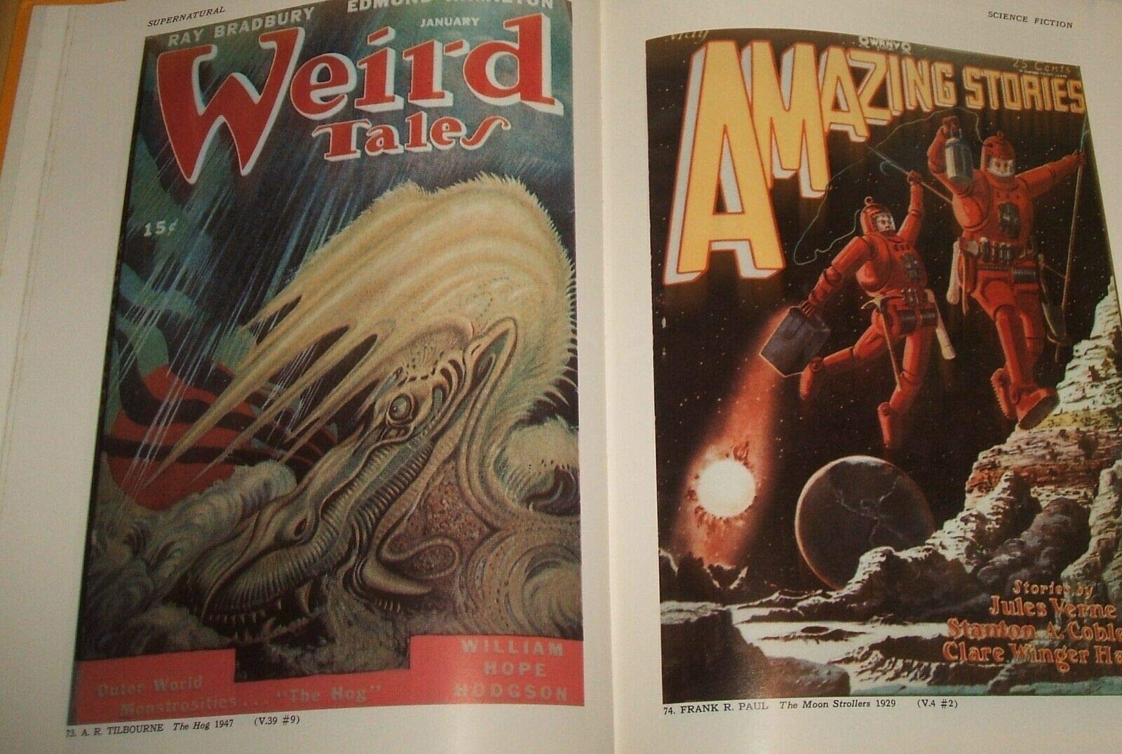 The Pulps: Fifty Years of American Pop Culture used book depot