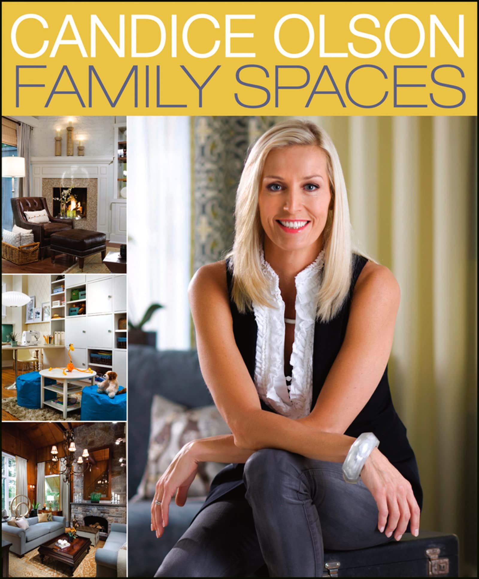 Houghton Mifflin Harcourt Candice Olson Family Spaces Book used book depot
