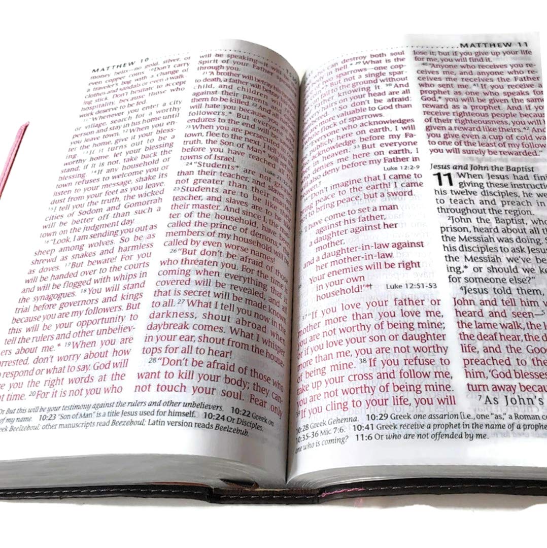 Holy Bible NLT, Personal Size Large Print edition, TuTone (Red Letter, LeatherLike, Pink/Brown) used book depot