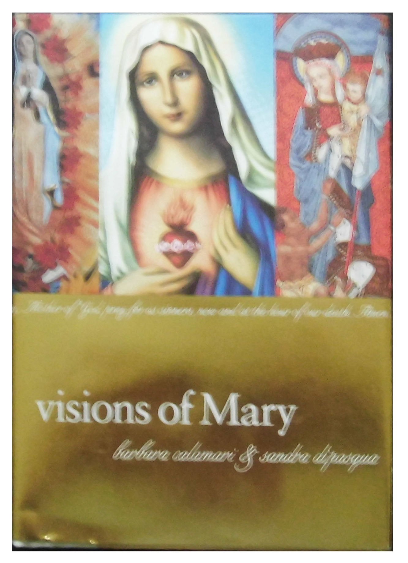 Visions of Mary used book depot
