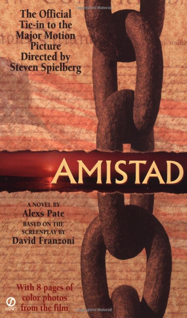 Amistad: A Novel Based on the Screenplay used book depot