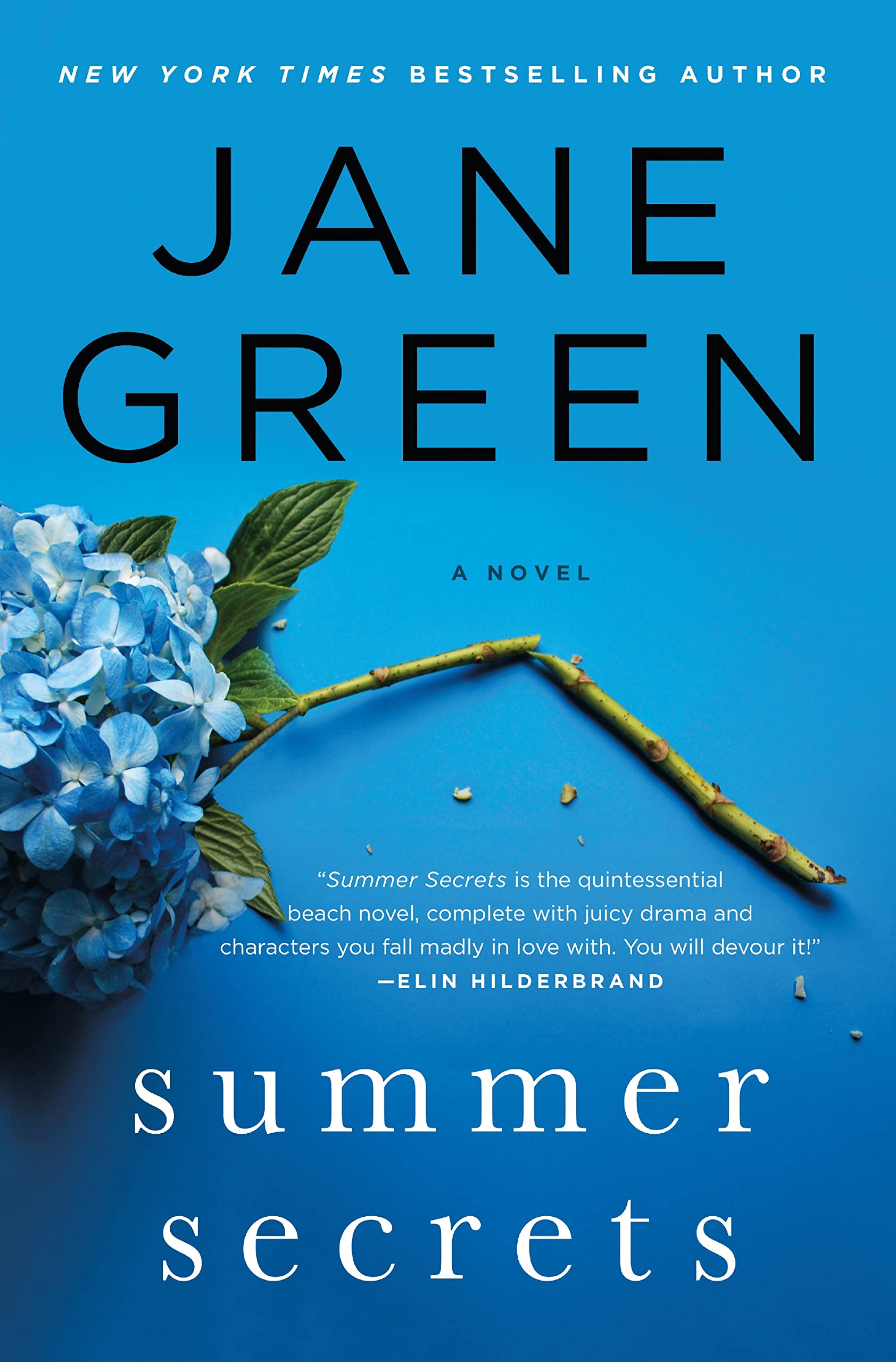 Summer Secrets: A Novel used book depot