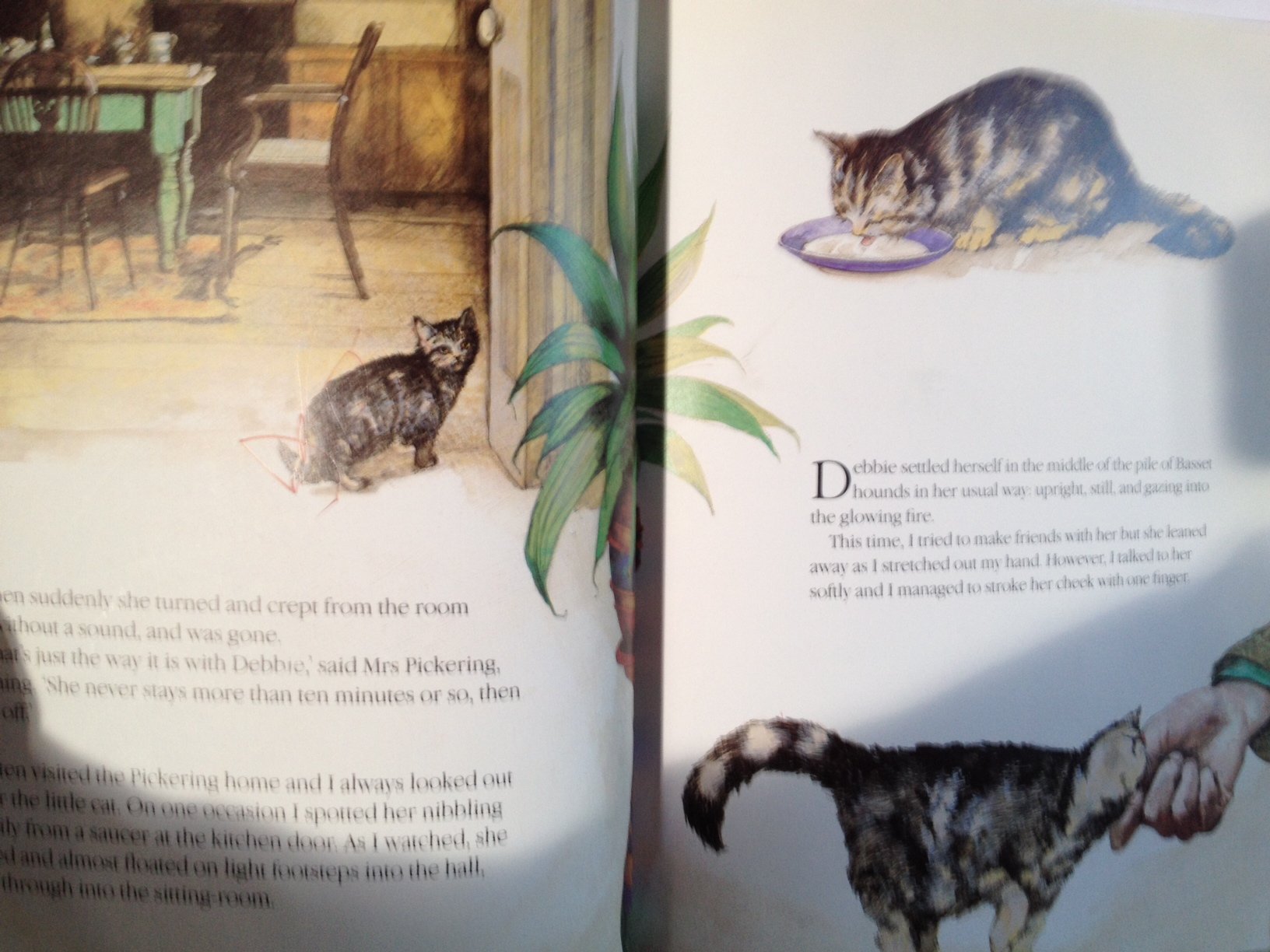 The Christmas Day Kitten used book depot