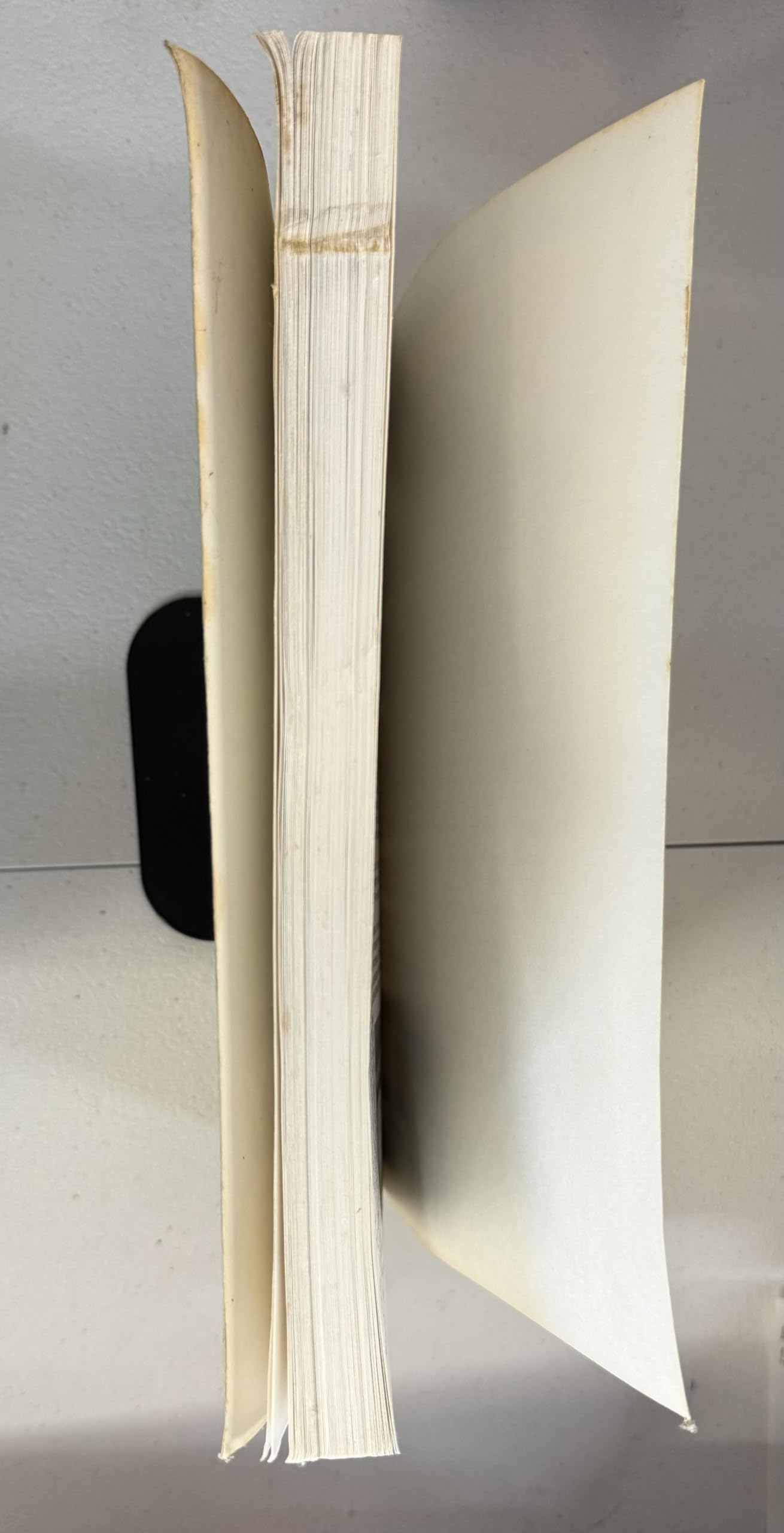 The Essiac Report: The True Story of a Canadian Herbal Cancer Remedy and of the Thousands of Lives It Continues to Save used book depot