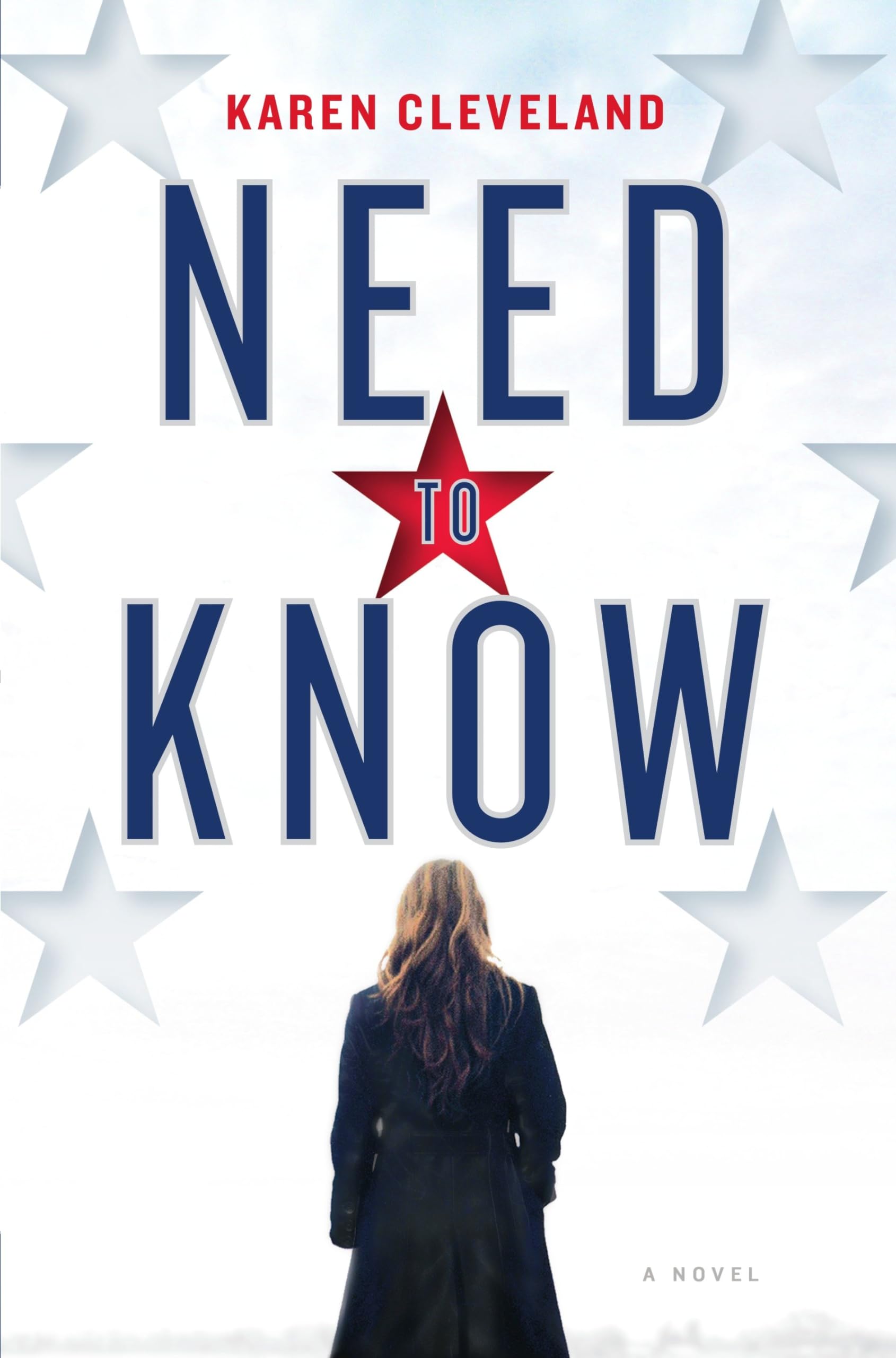 Need to Know: A Novel used book depot