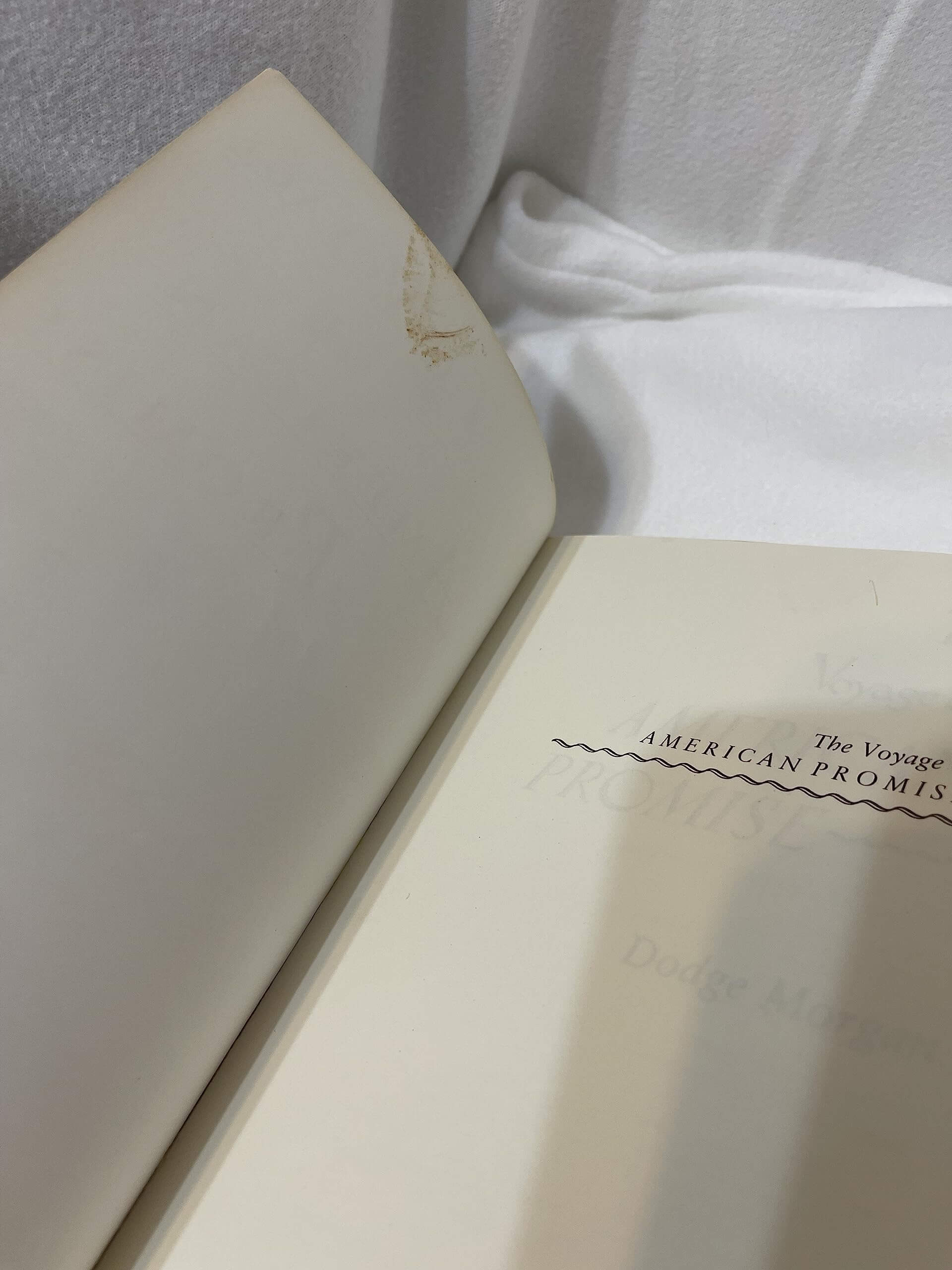 THE VOYAGE OF AMERICAN PROMISE used book depot