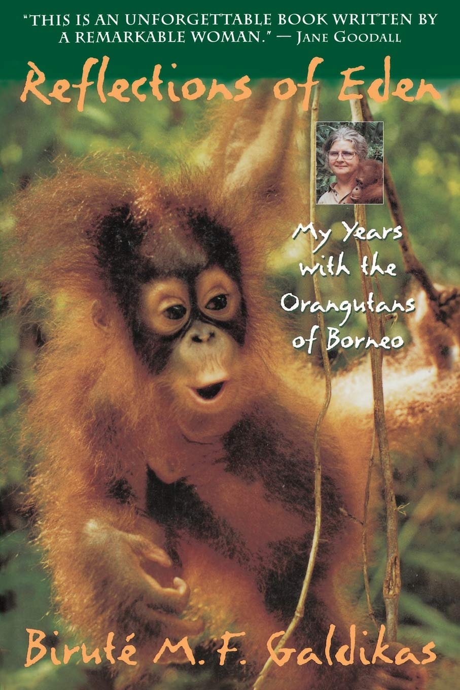 Reflections of Eden: My Years with the Orangutans of Borneo used book depot