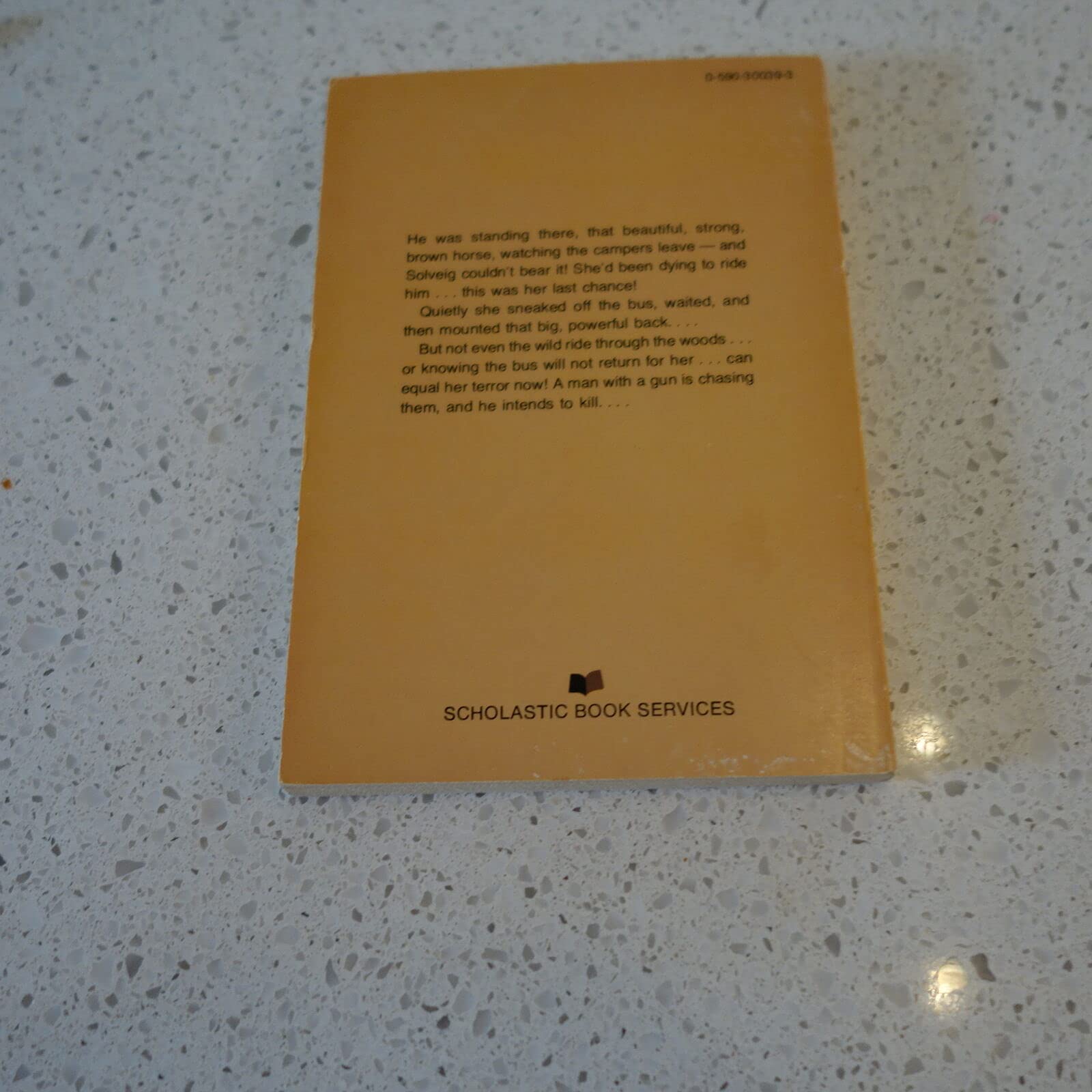 Horse for X.Y.Z. used book depot