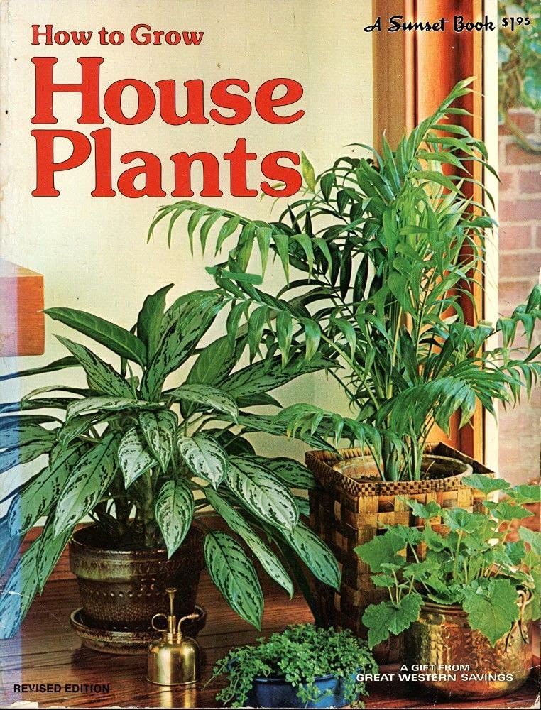 How to Grow House Plants used book depot