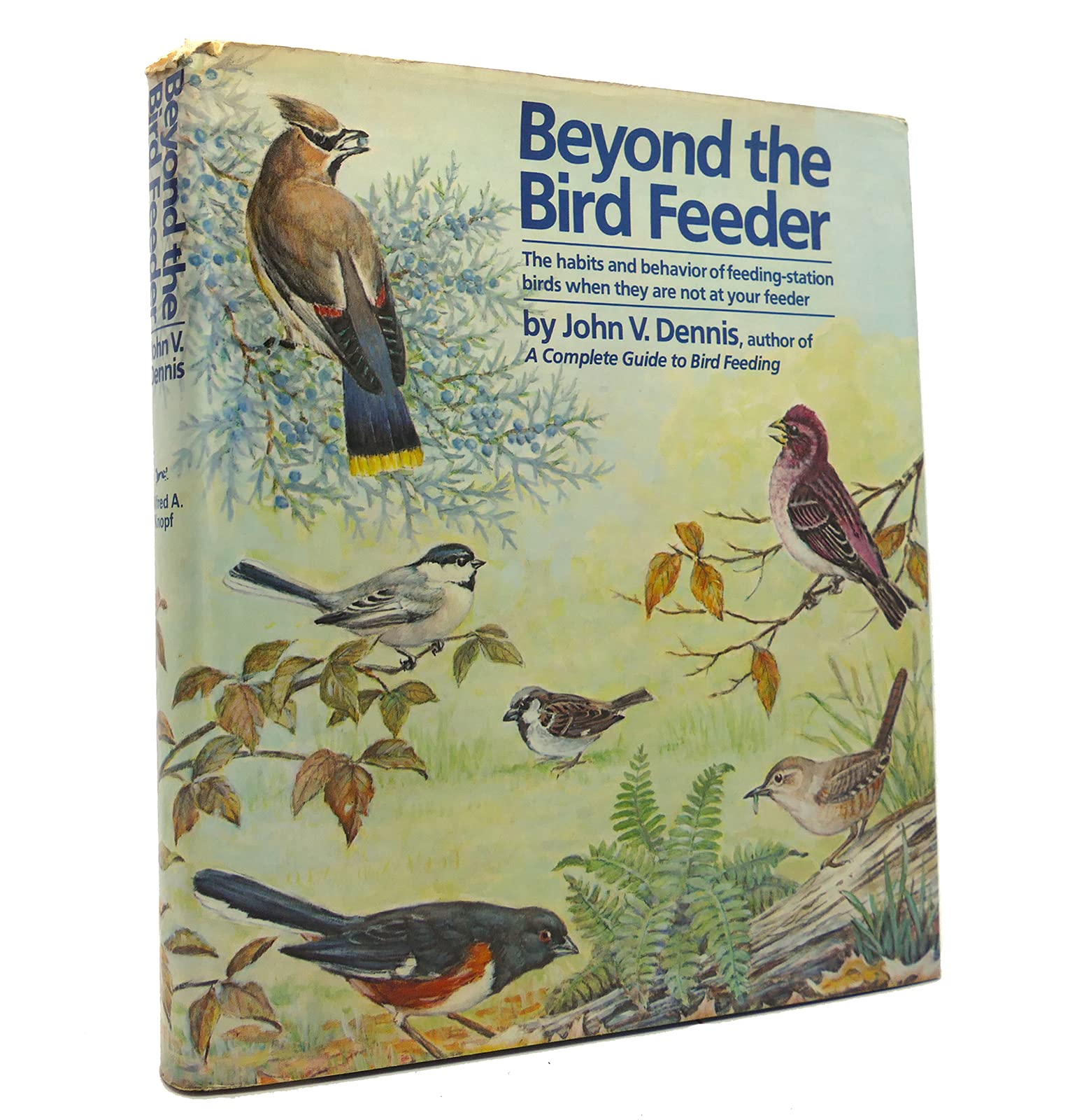 Beyond the Bird Feeder: The Habits and Behavior of Feeding-Station Birds When They are Not at Your Feeder used book depot