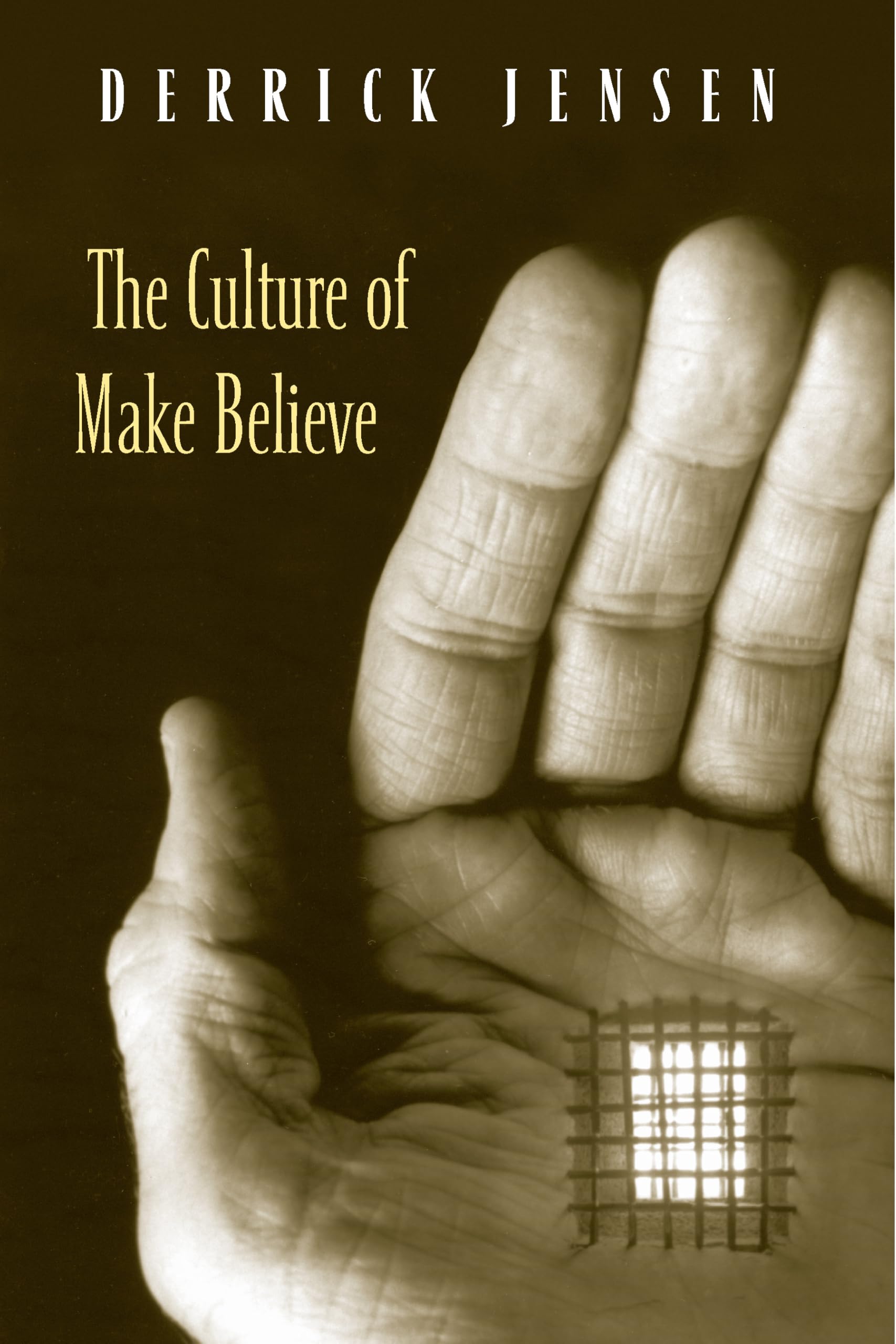 The Culture of Make Believe used book depot