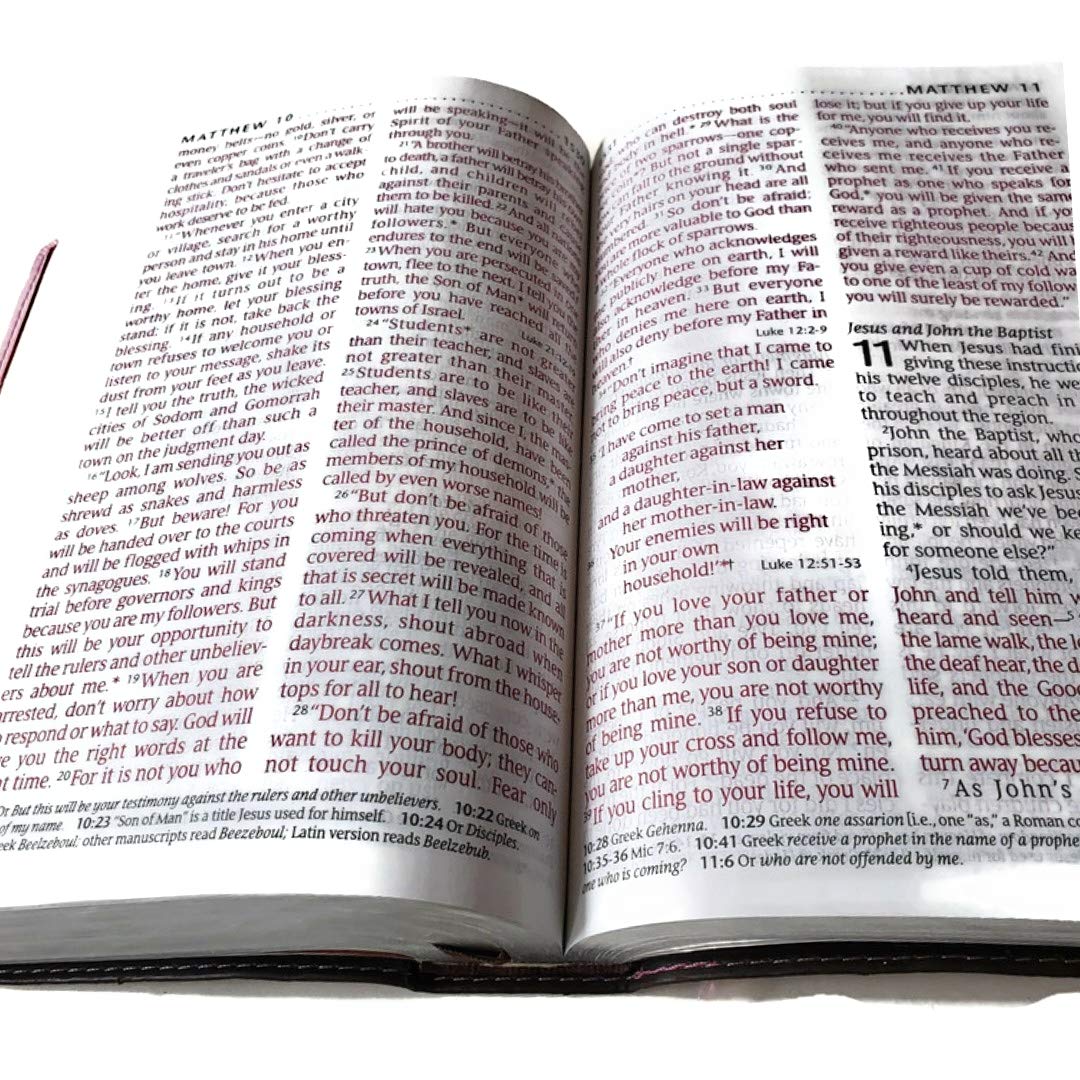 Holy Bible NLT, Personal Size Large Print edition, TuTone (Red Letter, LeatherLike, Pink/Brown) used book depot