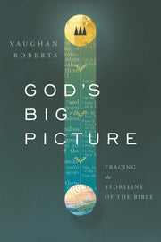 God's Big Picture: Tracing the Storyline of the Bible used book depot
