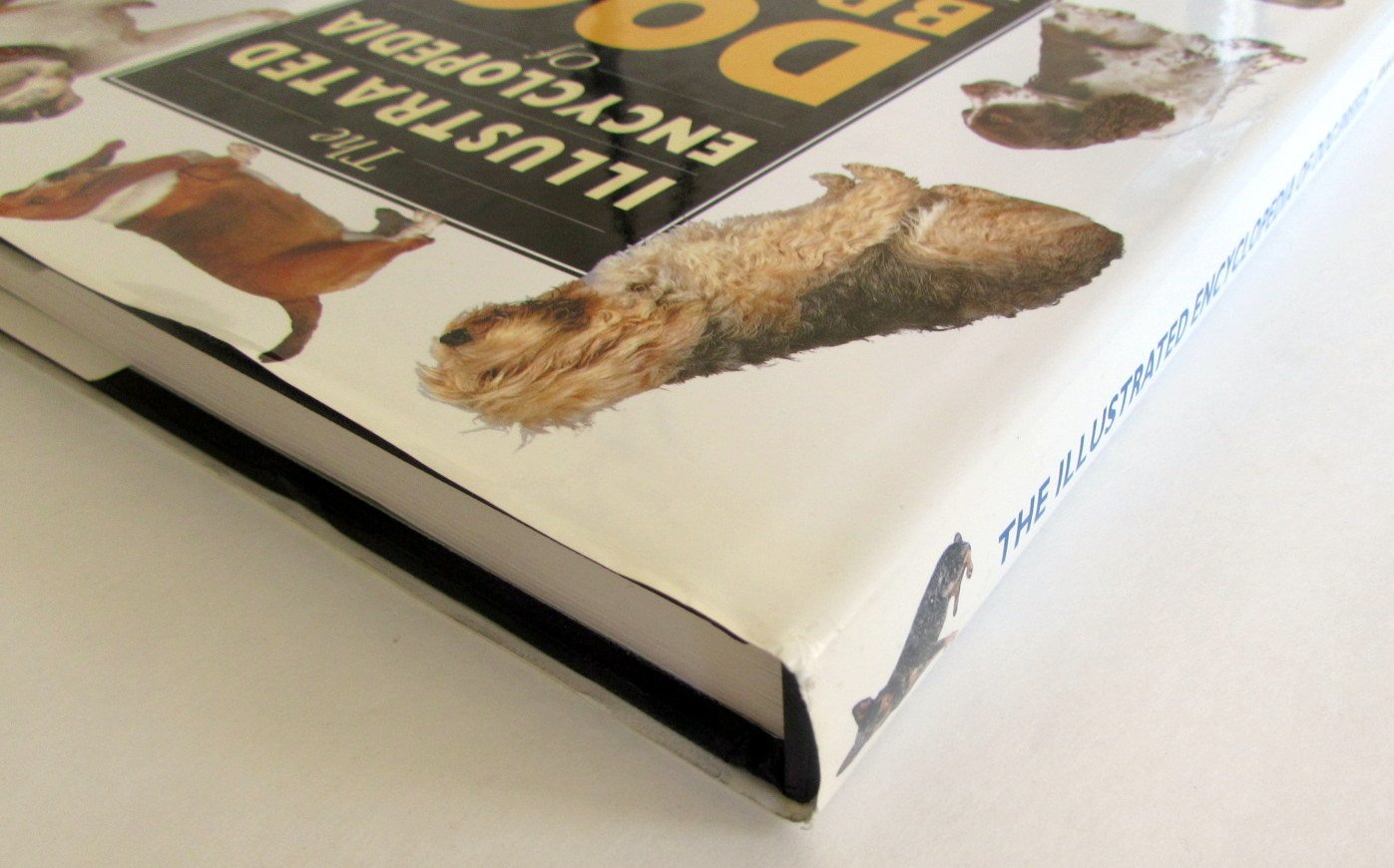 The Illustrated Encyclopedia of Dog Breeds used book depot