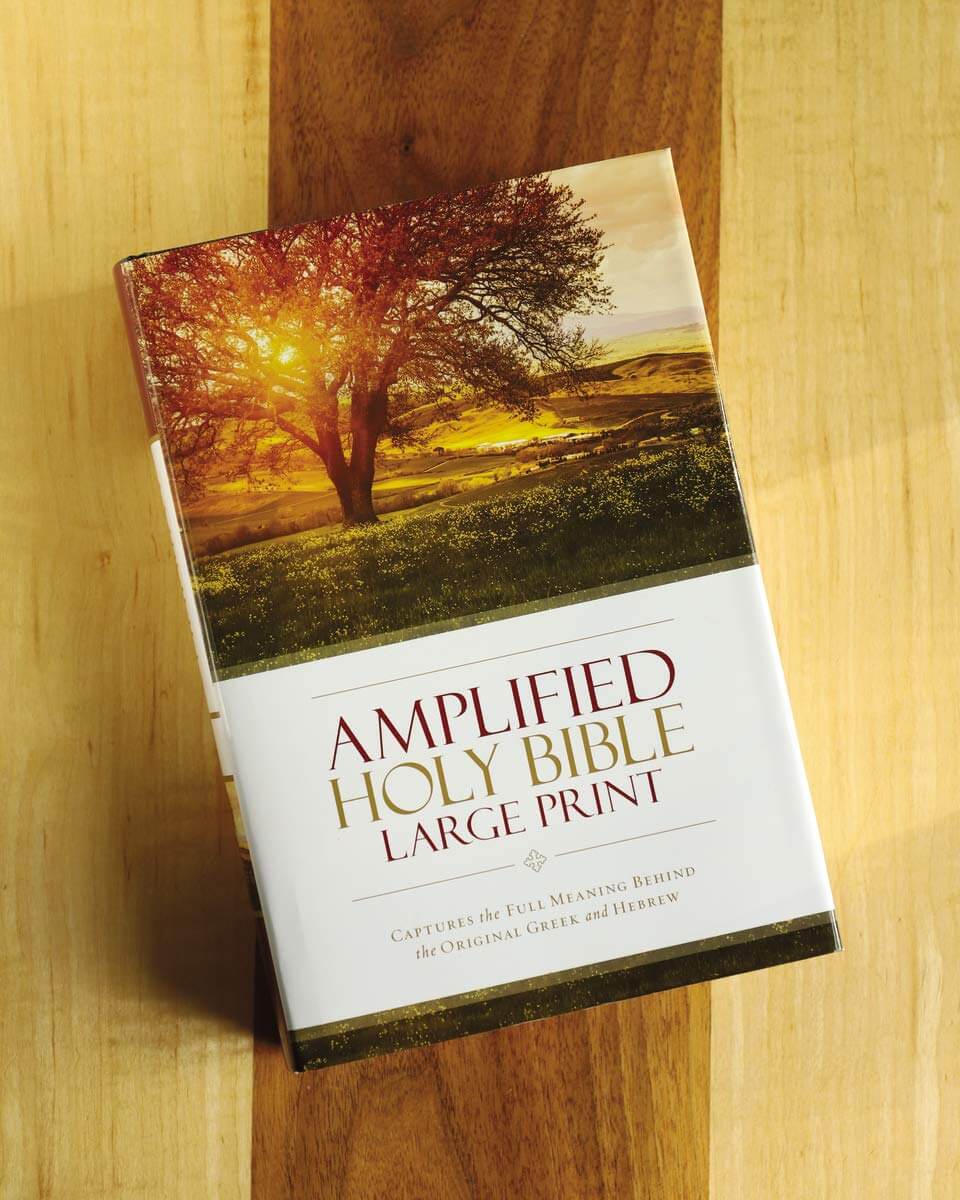 Amplified Holy Bible, Large Print, Hardcover: Captures the Full Meaning Behind the Original Greek and Hebrew used book depot