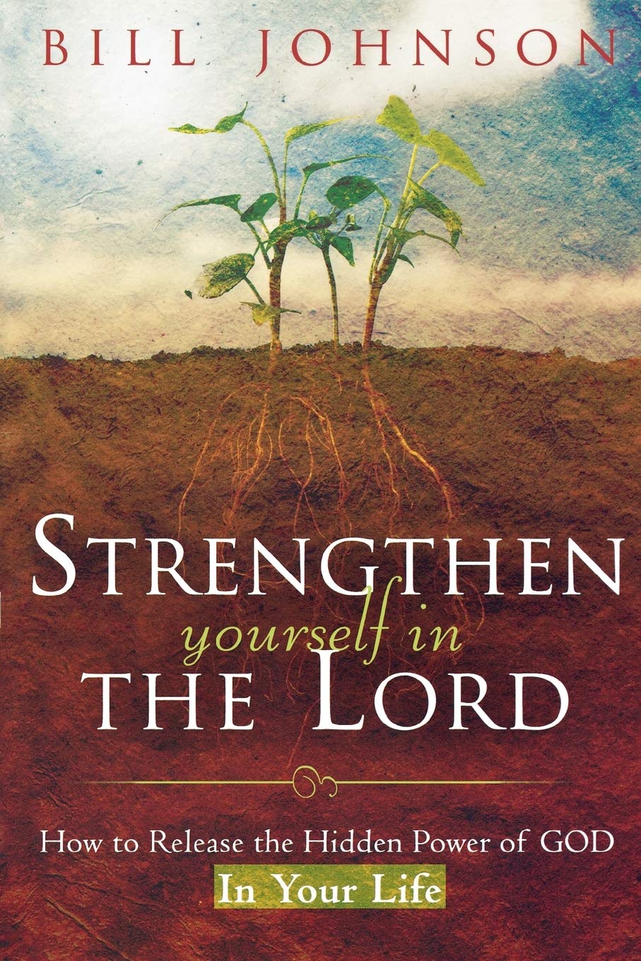 Strengthen Yourself in the Lord: How to Release the Hidden Power of God in Your Life used book depot