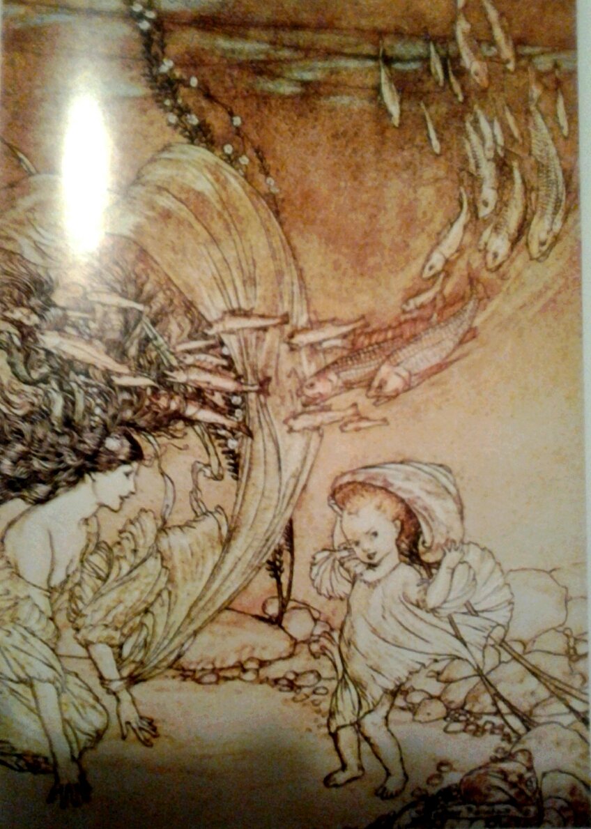 Arthur Rackham used book depot