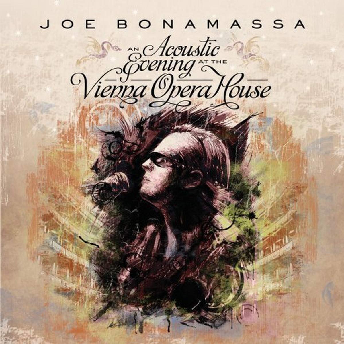 An Acoustic Evening At The Vienna Opera House[2 CD] used book depot