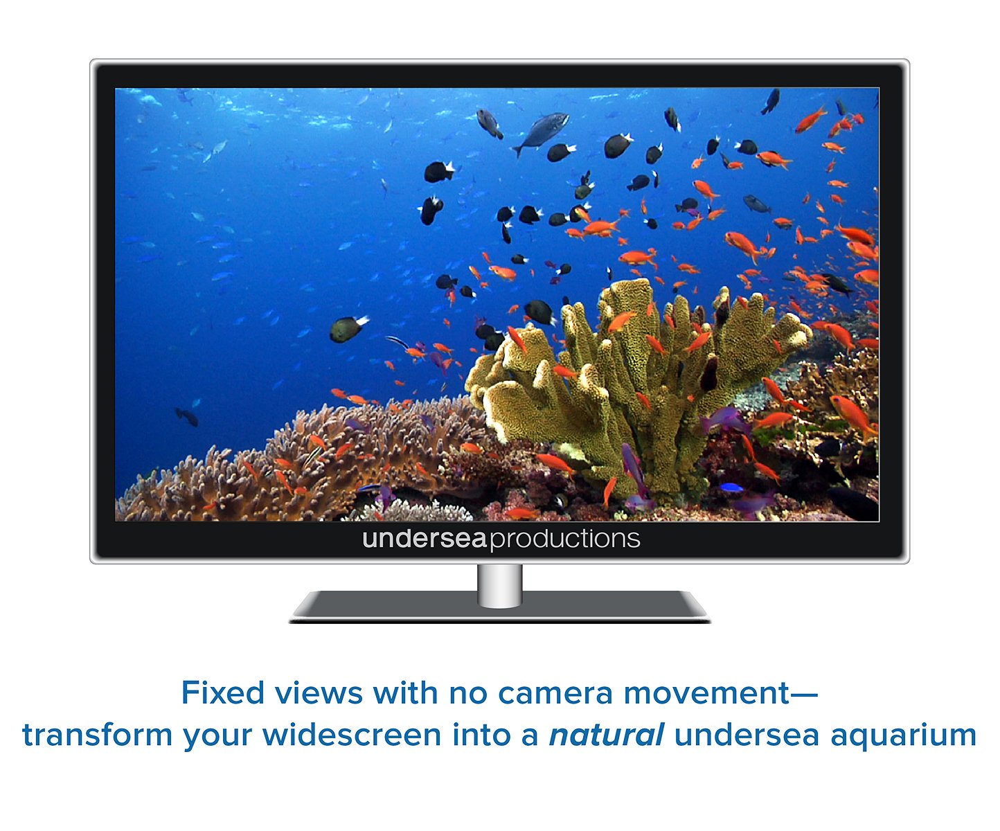 Reefscapes: Nature's Aquarium DVD, nature video of tropical fish and coral reefs filmed in the ocean, for relaxation and ambience used book depot