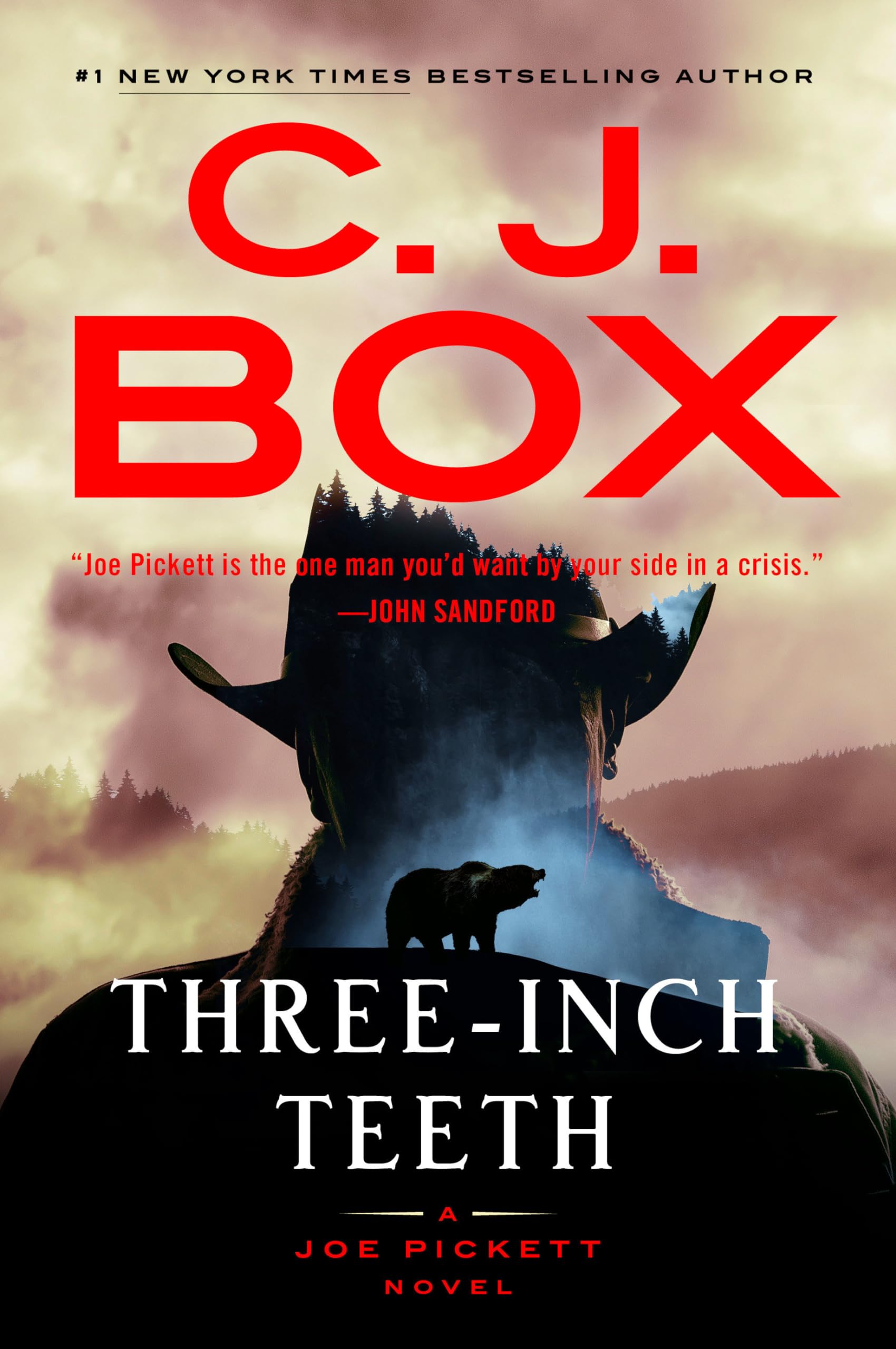 Three-Inch Teeth (A Joe Pickett Novel) used book depot