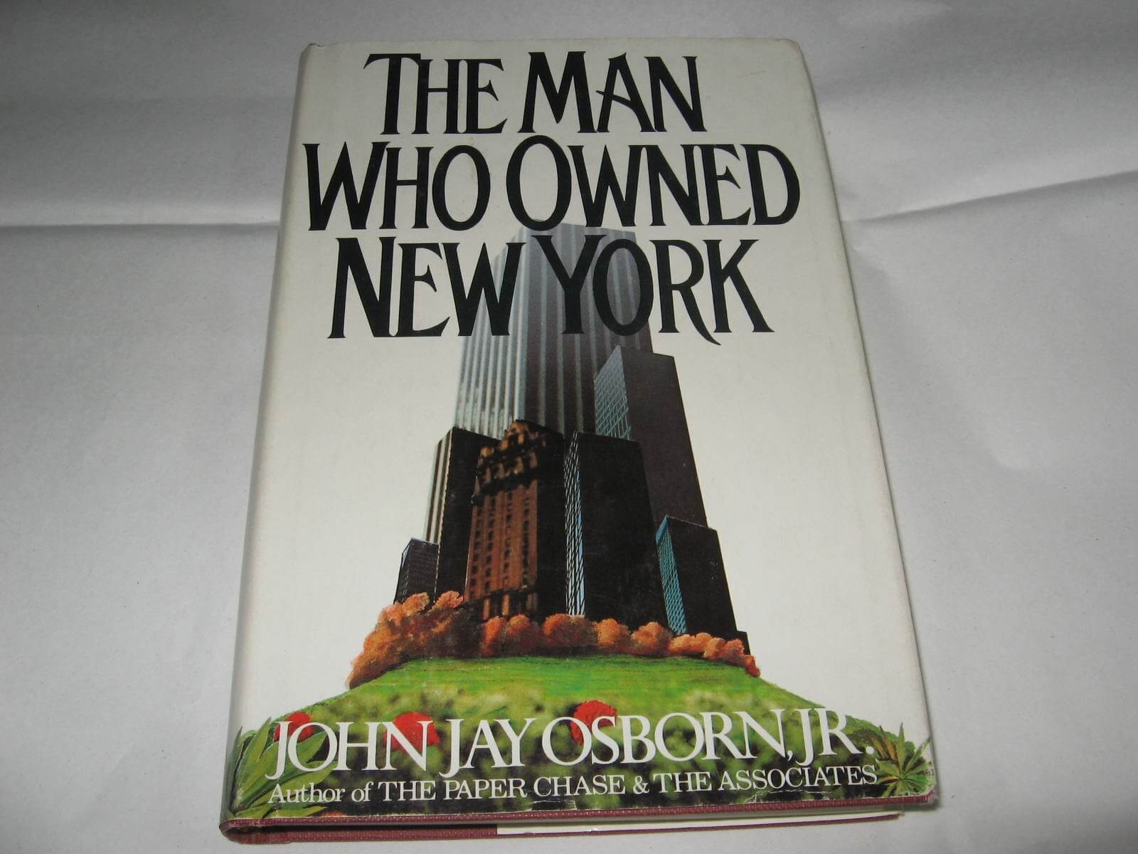 The man who owned New York: A novel used book depot