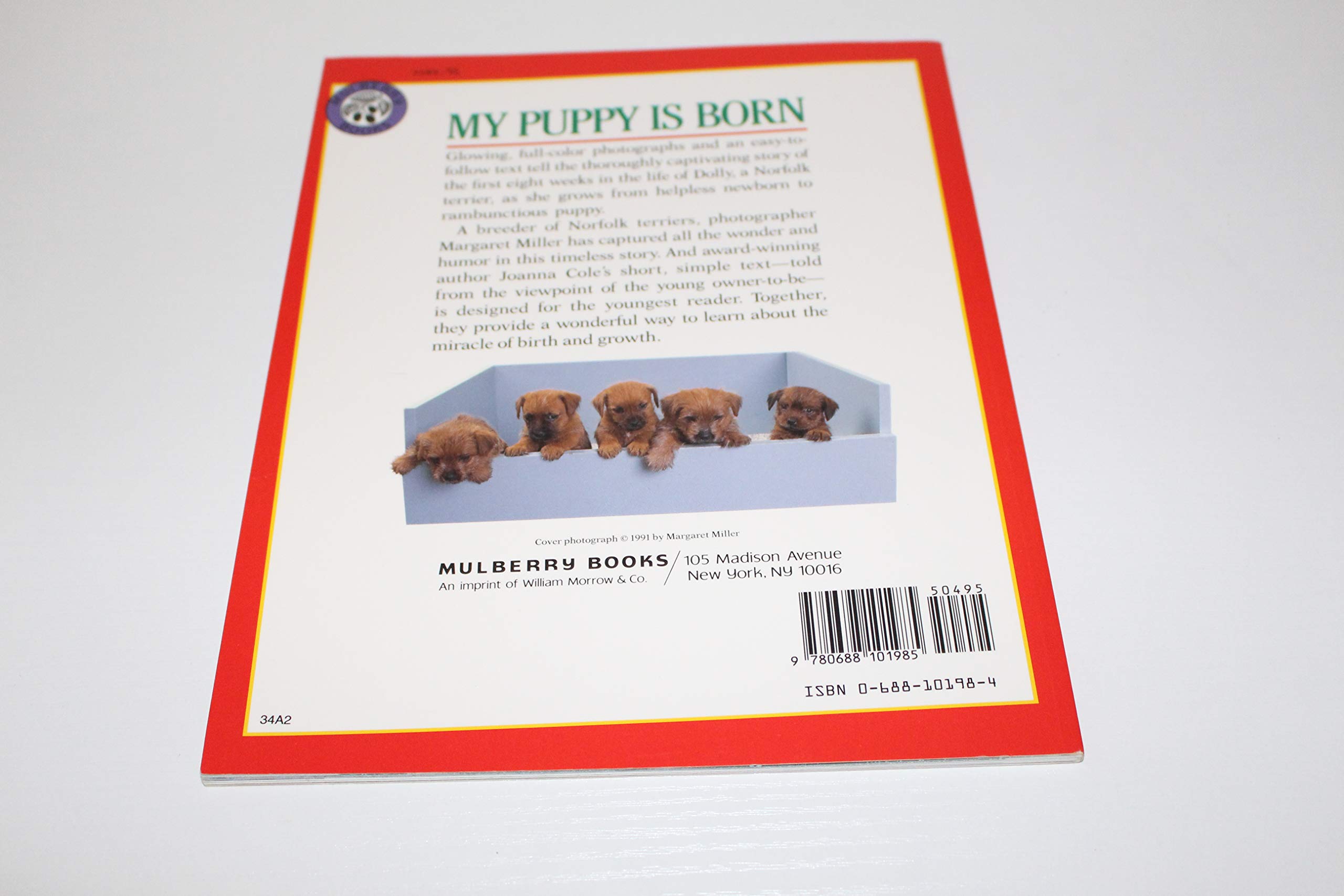 My Puppy Is Born used book depot