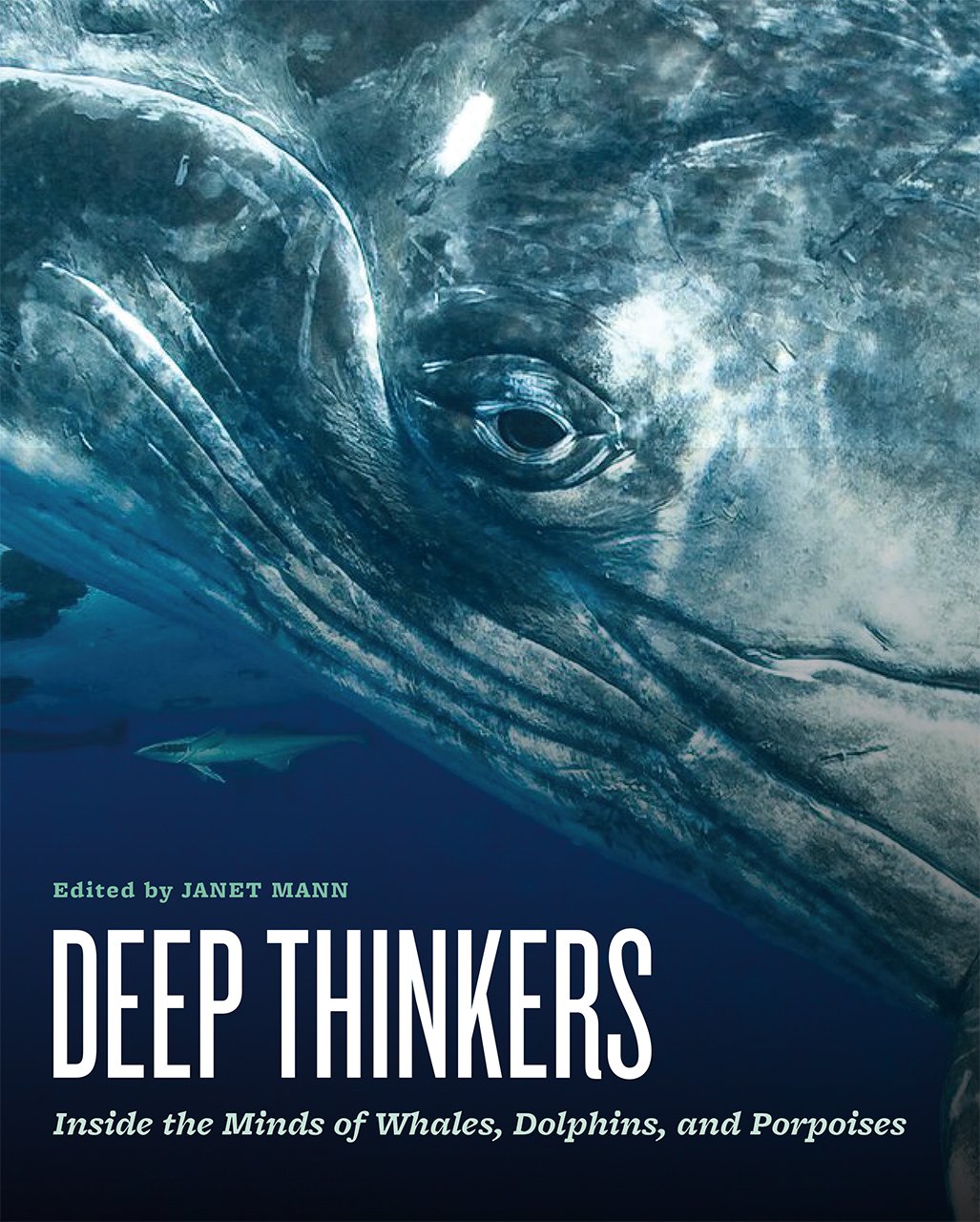 Deep Thinkers: Inside the Minds of Whales, Dolphins, and Porpoises used book depot